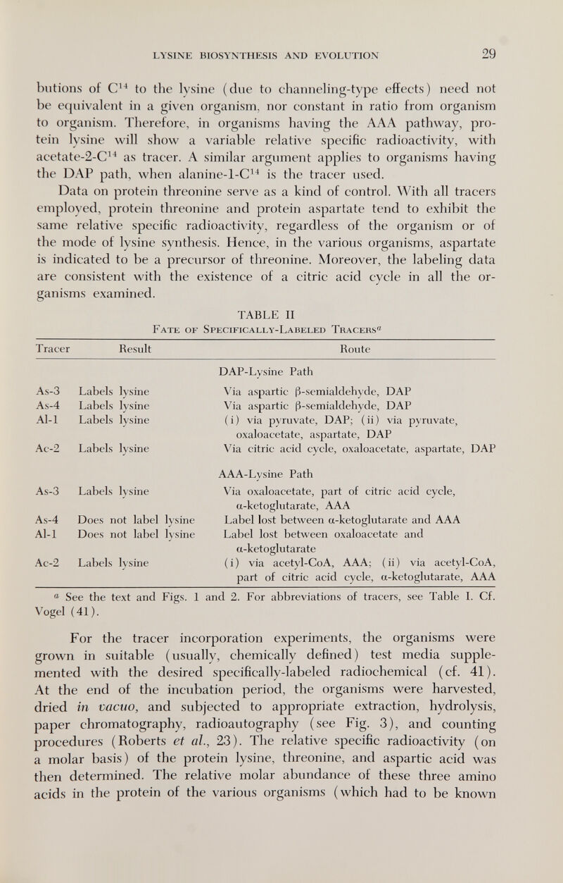 LYSINE BIOSYNTHESIS AND EVOLUTION 29 butions of to the lysine (due to channeling-type effects) need not be equivalent in a given organism, nor constant in ratio from organism to organism. Therefore, in organisms having the AAA pathway, pro¬ tein lysine will show a variable relative specific radioactivity, with acetate-2-C^^ as tracer. A similar argument applies to organisms having the DAP path, when alanine-l-C^^ is the tracer used. Data on protein threonine serve as a kind of control. With all tracers employed, protein threonine and protein aspartate tend to exhibit the same relative specific radioactivity, regardless of the organism or of the mode of lysine synthesis. Hence, in the various organisms, aspartate is indicated to be a precursor of threonine. Moreover, the labeling data are consistent with the existence of a citric acid cycle in all the or¬ ganisms examined. TABLE II Fate of Specifically-Labeled Tracers ® See the text and Figs. 1 and 2. For abbreviations of tracers, see Table I. Cf. Vogel (41). For the tracer incorporation experiments, the organisms were grown in suitable (usually, chemically defined) test media supple¬ mented with the desired specifically-labeled radiochemical ( cf. 41 ). At the end of the incubation period, the organisms were harvested, dried in vacuo, and subjected to appropriate extraction, hydrolysis, paper chromatography, radioautography (see Fig. 3), and counting procedures (Roberts ef ah, 23). The relative specific radioactivity (on a molar basis) of the protein lysine, threonine, and aspartic acid was then determined. The relative molar abundance of these three amino acids in the protein of the various organisms (which had to be known