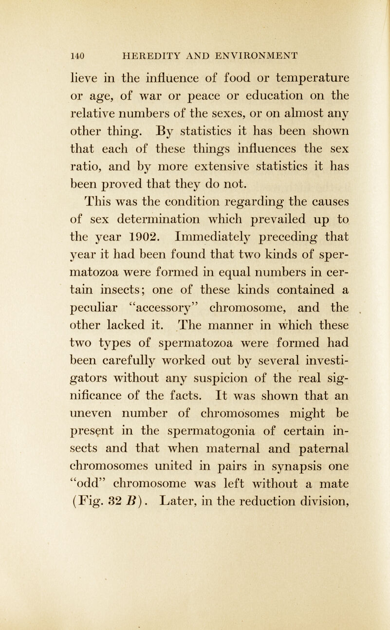 lieve in the influence of food or temperature or age, of war or peace or education on the relative numbers of the sexes, or on almost anv other thing. By statistics it has been shown that each of these things influences the sex ratio, and by more extensive statistics it has been proved that they do not. This was the condition regarding the causes of sex determination which prevailed up to the year 1902. Immediately preceding that year it had been found that two kinds of sper matozoa were formed in equal numbers in cer tain insects; one of these kinds contained a peculiar “accessory” chromosome, and the other lacked it. The manner in which these two types of spermatozoa were formed had been carefully worked out by several investi gators without any suspicion of the real sig nificance of the facts. It was shown that an uneven number of chromosomes might be present in the spermatogonia of certain in sects and that when maternal and paternal chromosomes united in pairs in synapsis one “odd” chromosome was left without a mate (Fig. 32 B ). Later, in the reduction division,