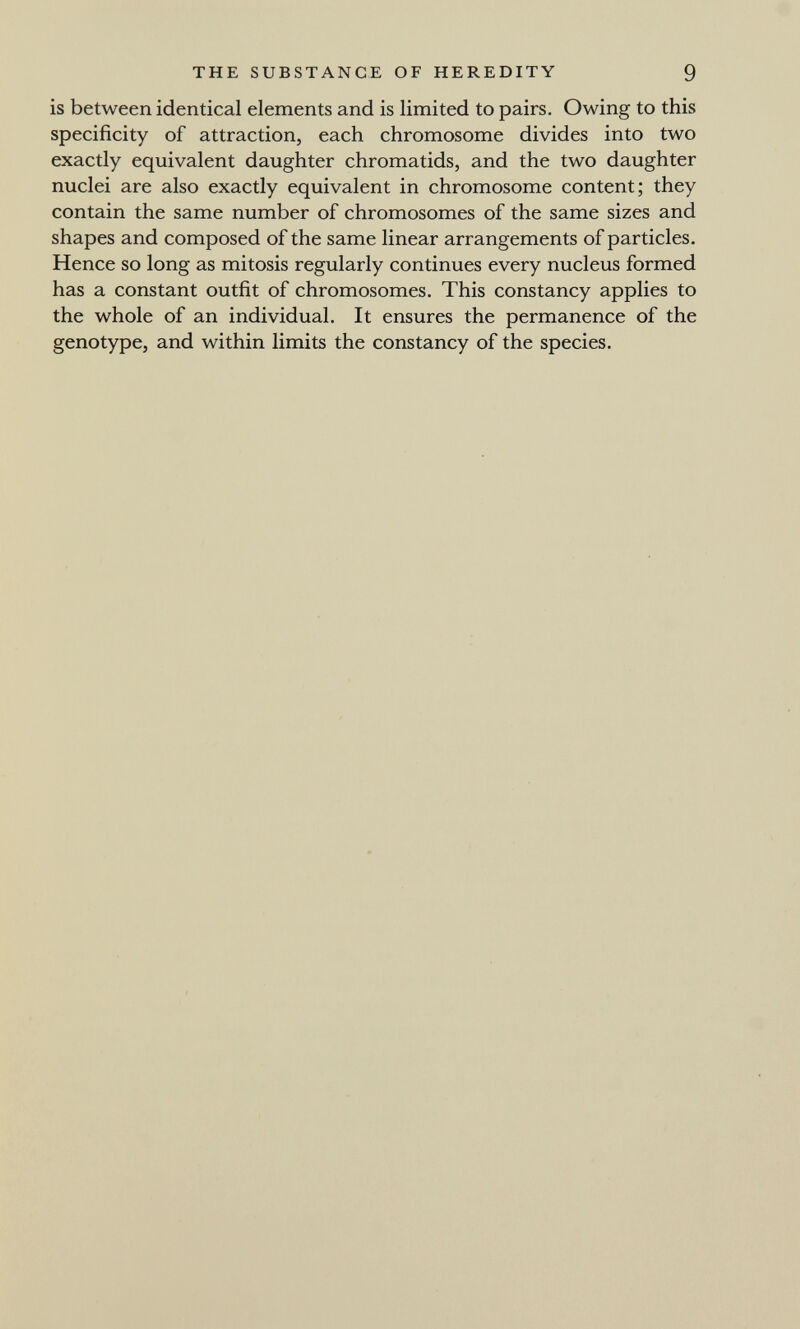THE SUBSTANCE OF HEREDITY 9 is between identical elements and is limited to pairs. Owing to this specificity of attraction, each chromosome divides into two exactly equivalent daughter chromatids, and the two daughter nuclei are also exactly equivalent in chromosome content; they contain the same number of chromosomes of the same sizes and shapes and composed of the same linear arrangements of particles. Hence so long as mitosis regularly continues every nucleus formed has a constant outfit of chromosomes. This constancy applies to the whole of an individual. It ensures the permanence of the genotype, and within limits the constancy of the species.