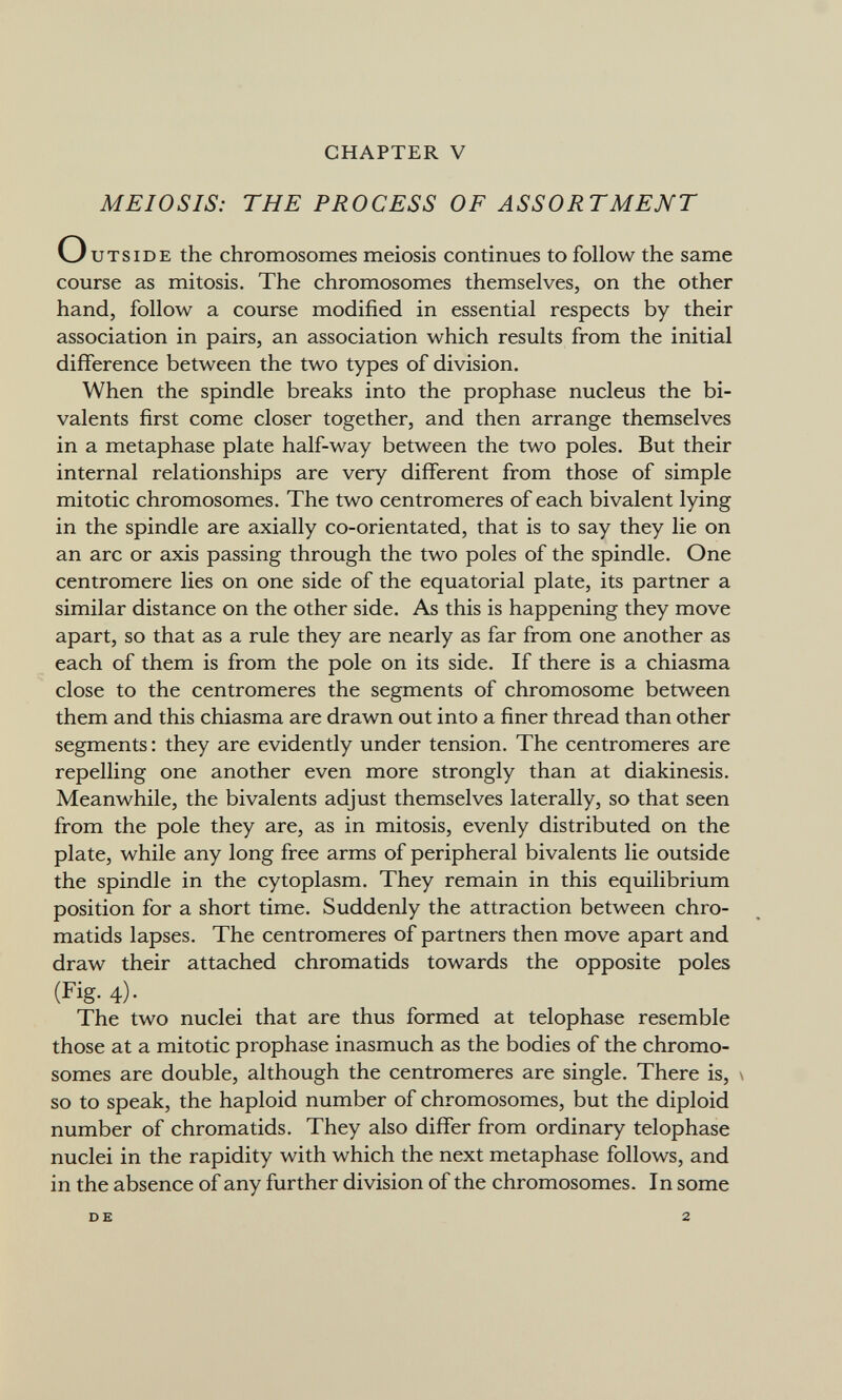 CHAPTER V MEIOSIS: THE PROCESS OF ASSORTMENT О UTS ID E the chromosomes meiosis continues to follow the same course as mitosis. The chromosomes themselves, on the other hand, follow a course modified in essential respects by their association in pairs, an association which results from the initial difference between the two types of division. When the spindle breaks into the prophase nucleus the bi¬ valents first come closer together, and then arrange themselves in a metaphase plate half-way between the two poles. But their internal relationships are very different from those of simple mitotic chromosomes. The two centromeres of each bivalent lying in the spindle are axially co-orientated, that is to say they lie on an arc or axis passing through the two poles of the spindle. One centromere lies on one side of the equatorial plate, its partner a similar distance on the other side. As this is happening they move apart, so that as a rule they are nearly as far from one another as each of them is from the pole on its side. If there is a chiasma close to the centromeres the segments of chromosome between them and this chiasma are drawn out into a finer thread than other segments : they are evidently under tension. The centromeres are repelling one another even more strongly than at diakinesis. Meanwhile, the bivalents adjust themselves laterally, so that seen from the pole they are, as in mitosis, evenly distributed on the plate, while any long free arms of peripheral bivalents lie outside the spindle in the cytoplasm. They remain in this equilibrium position for a short time. Suddenly the attraction between chro¬ matids lapses. The centromeres of partners then move apart and draw their attached chromatids towards the opposite poles (Fig. 4). The two nuclei that are thus formed at telophase resemble those at a mitotic prophase inasmuch as the bodies of the chromo¬ somes are double, although the centromeres are single. There is, \ so to speak, the haploid number of chromosomes, but the diploid number of chromatids. They also differ from ordinary telophase nuclei in the rapidity with which the next metaphase follows, and in the absence of any further division of the chromosomes. In some DE 2