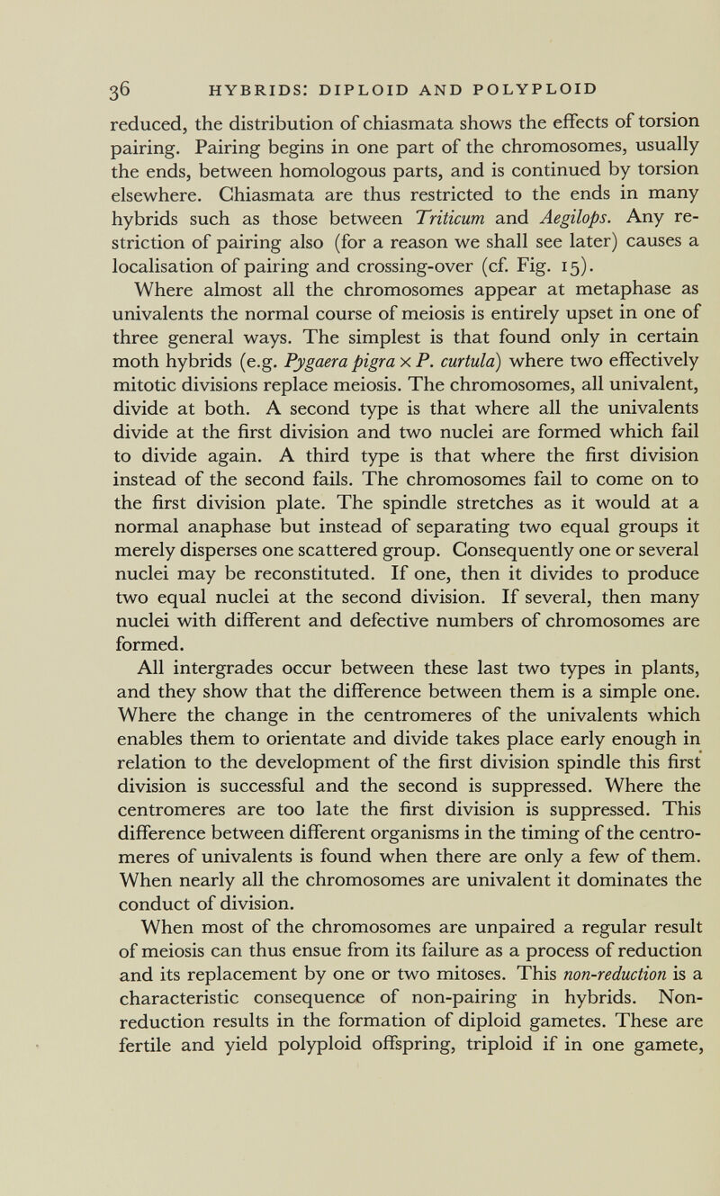 зб hybrids: diploid and polyploid reduced, the distribution of chiasmata shows the effects of torsion pairing. Pairing begins in one part of the chromosomes, usually the ends, between homologous parts, and is continued by torsion elsewhere. Chiasmata are thus restricted to the ends in many hybrids such as those between Triticum and Aegilops. Any re¬ striction of pairing also (for a reason we shall see later) causes a localisation of pairing and crossing-over (cf. Fig. 15). Where almost all the chromosomes appear at metaphase as univalents the normal course of meiosis is entirely upset in one of three general ways. The simplest is that found only in certain moth hybrids (e.g. Pygaera pigra x P. curtula) where two effectively mitotic divisions replace meiosis. The chromosomes, all univalent, divide at both. A second type is that where all the univalents divide at the first division and two nuclei are formed which fail to divide again. A third type is that where the first division instead of the second fails. The chromosomes fail to come on to the first division plate. The spindle stretches as it would at a normal anaphase but instead of separating two equal groups it merely disperses one scattered group. Consequently one or several nuclei may be reconstituted. If one, then it divides to produce two equal nuclei at the second division. If several, then many nuclei with different and defective numbers of chromosomes are formed. All intergrades occur between these last two types in plants, and they show that the difference between them is a simple one. Where the change in the centromeres of the univalents which enables them to orientate and divide takes place early enough in relation to the development of the first division spindle this first division is successful and the second is suppressed. Where the centromeres are too late the first division is suppressed. This difference between different organisms in the timing of the centro¬ meres of univalents is found when there are only a few of them. When nearly all the chromosomes are univalent it dominates the conduct of division. When most of the chromosomes are unpaired a regular result of meiosis can thus ensue from its failure as a process of reduction and its replacement by one or two mitoses. This non-reduction is a characteristic consequence of non-pairing in hybrids. Non- reduction results in the formation of diploid gametes. These are fertile and yield polyploid offspring, triploid if in one gamete.