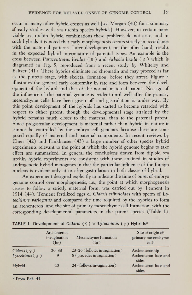 EVIDENCE FOR DELAYED ONSET OF GENOME CONTROL 19 occur in many other hybrid crosses as well [see Morgan (40) for a summary of early studies with sea urchin species hybrids]. However, in certain more viable sea urchin hybrid combinations these problems do not arise, and in such hybrids it is noted that early morphogenesis occurs strictly in accordance with the maternal patterns. Later development, on the other hand, results in the expected hybrid intermixture of parental types. An example is the cross between Paracentrotus Uvidus ( $ ) and Arhacia lixula ( (Î ) which is diagramed in Fig. 5, reproduced from a recent study by Whiteley and Baltzer (41). These hybrids eliminate no chromatin and may proceed as far as the pluteus stage, with skeletal formation, before they arrest. Figure 5 illustrates the general early conformity in rate and form between the devel¬ opment of the hybrid and that of the normal maternal parent: No sign of the influence of the paternal genome is evident until well after the primary mesenchyme cells have been given off and gastrulation is under way. By this point development of the hybrids has started to become retarded with respect to either parent, though the developmental stage attained by the hybrid remains much closer to the maternal than to the paternal parent. Since pregastrular development is maternal rather than hybrid in nature it cannot be controlled by the embryo cell genomes because these are com¬ posed equally of maternal and paternal components. In recent reviews by Chen (42) and Fankhauser (43) a large number of other species hybrid experiments relevant to the point at which the hybrid genome begins to take effect are summarized. In general the conclusions drawn from diploid sea urchin hybrid experiments are consistent with those attained in studies of androgenetic hybrid merogones in that the particular influence of the foreign nucleus is evident only at or after gastrulation in both classes of hybrid. An experiment designed explicitly to indicate the time of onset of embryo genome control over morphogenesis, i.e., the point at which morphogenesis ceases to follow a strictly maternal form, was carried out by Tennent in 1914 (44). Tennent fertilized eggs of Cidaris trihuloides with sperm of Ly- techinus variegatus and compared the time required by the hybrids to form an archenteron, and the site of primary mesenchyme cell formation, with the corresponding developmental parameters in the parent species (Table I). TABLE I. Development of Cidaris (?) X Lytechinus ($) Hybrids® Site of origin of primary mesenchyme cells Cidaris ( $ ) Lytechinus ( ^ ) Hybrid 20-33 23-26 (follows invagination) Archenteron tip 9 8 (precedes invagination) Archenteron base and sides 20 24 (follows invagination) Archenteron base and sides From Ref. 44.