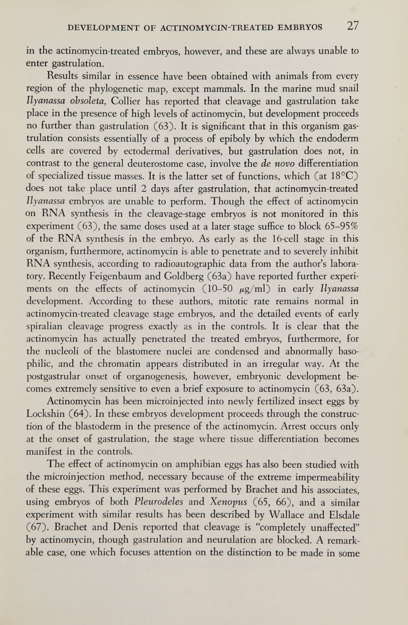 DEVELOPMENT OF ACTINOMYCIN-TREATED EMBRYOS 27 in the actinomycin-treated embryos, however, and these are always unable to enter gastrulation. Results similar in essence have been obtained with animals from every region of the phylogenetic map, except mammals. In the marine mud snail ilyanassa obsoleta, Collier has reported that cleavage and gastrulation take place in the presence of high levels of actinomycin, but development proceeds no further than gastrulation (63). It is significant that in this organism gas¬ trulation consists essentially of a process of epiboly by which the endoderm cells are covered by ectodermal derivatives, but gastrulation does not, in contrast to the general deuterostome case, involve the de novo differentiation of specialized tissue masses. It is the latter set of functions, which (at 18°C) does not take place until 2 days after gastrulation, that actinomycin-treated Ilyanassa embryos are unable to perform. Though the effect of actinomycin on RNA synthesis in the cleavage-stage embryos is not monitored in this experiment (63), the same doses used at a later stage suffice to block 65-95% of the RNA synthesis in the embryo. As early as the 16-cell stage in this organism, furthermore, actinomycin is able to penetrate and to severely inhibit RNA synthesis, according to radioautographic data from the author's labora¬ tory. Recently Feigenbaum and Goldberg (63a) have reported further experi¬ ments on the effects of actinomycin (10-50 /^g/ml) in early Ilyanassa development. According to these authors, mitotic rate remains normal in actinomycin-treated cleavage stage embryos, and the detailed events of early spiralian cleavage progress exactly as in the controls. It is clear that the actinomycin has actually penetrated the treated embryos, furthermore, for the nucleoli of the blastomere nuclei are condensed and abnormally baso¬ philic, and the chromatin appears distributed in an irregular way. At the postgastrular onset of organogenesis, however, embryonic development be¬ comes extremely sensitive to even a brief exposure to actinomycin (63, 63a). Actinomycin has been microinjected into newly fertilized insect eggs by Lockshin (64). In these embryos development proceeds through the construc¬ tion of the blastoderm in the presence of the actinomycin. Arrest occurs only at the onset of gastrulation, the stage where tissue differentiation becomes manifest in the controls. The effect of actinomycin on amphibian eggs has also been studied with the microinjection method, necessary because of the extreme impermeability of these eggs. This experiment was performed by Brächet and his associates, using embryos of both Pleurodeles and Xeno-pus (65, 66), and a similar experiment with similar results has been described by Wallace and Elsdale (67). Brächet and Denis reported that cleavage is completely unaffected by actinomycin, though gastrulation and neurulation are blocked. A remark¬ able case, one which focuses attention on the distinction to be made in some