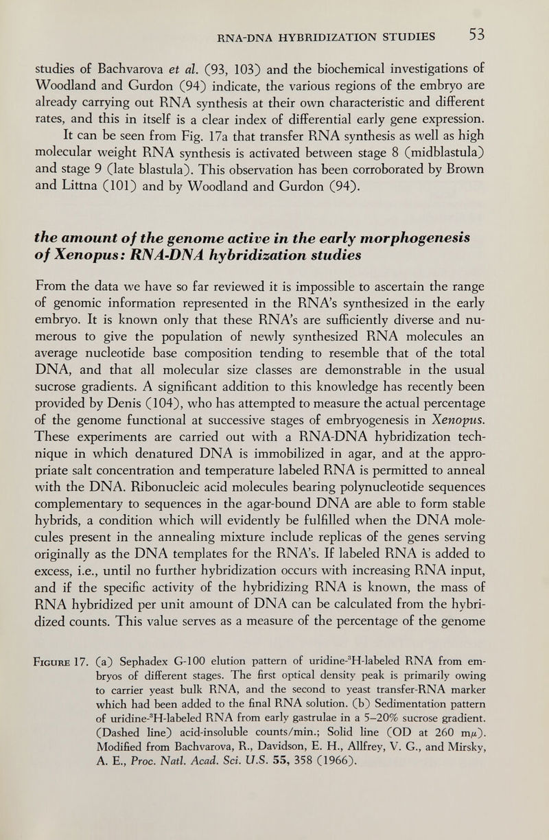 RNA-DNA HYBRIDIZATION STUDIES 53 studies of Bachvarova et al. (93, 103) and the biochemical investigations of Woodland and Gurdon (94) indicate, the various regions of the embryo are already carrying out RNA synthesis at their own characteristic and different rates, and this in itself is a clear index of differential early gene expression. It can be seen from Fig, 17a that transfer RNA synthesis as well as high molecular weight RNA synthesis is activated between stage 8 (midblastula) and stage 9 (late blastula). This observation has been corroborated by Brown and Littna (101) and by Woodland and Gurdon (94). the amount of the genome active in the early morphogenesis of Xeno pus: RNA-DNA hybridization studies From the data we have so far reviewed it is impossible to ascertain the range of genomic information represented in the RNA's synthesized in the early embryo. It is known only that these RNA's are sufficiently diverse and nu¬ merous to give the population of newly synthesized RNA molecules an average nucleotide base composition tending to resemble that of the total DNA, and that all molecular size classes are demonstrable in the usual sucrose gradients. A significant addition to this knowledge has recently been provided by Denis (104), who has attempted to measure the actual percentage of the genome functional at successive stages of embryogenesis in Xenopus. These experiments are carried out with a RNA-DNA hybridization tech¬ nique in which denatured DNA is immobilized in agar, and at the appro¬ priate salt concentration and temperature labeled RNA is permitted to anneal with the DNA. Ribonucleic acid molecules bearing polynucleotide sequences complementary to sequences in the agar-bound DNA are able to form stable hybrids, a condition which will evidently be fulfilled when the DNA mole¬ cules present in the annealing mixture include replicas of the genes serving originally as the DNA templates for the RNA's. If labeled RNA is added to excess, i.e., until no further hybridization occurs with increasing RNA input, and if the specific activity of the hybridizing RNA is known, the mass of RNA hybridized per unit amount of DNA can be calculated from the hybri¬ dized counts. This value serves as a measure of the percentage of the genome Figure 17. (a) Sephadex G-lOO elution pattern of uridine-^H-labeled RNA from em¬ bryos of different stages. The first optical density peak is primarily owing to carrier yeast bulk RNA, and the second to yeast transfer-RNA marker which had been added to the final RNA solution, (b) Sedimentation pattern of uridine-®H-labeled RNA from early gastrulae in a 5-20% sucrose gradient. (Dashed line) acid-insoluble counts/min.; Solid Hne (OD at 260 т/л). Modified from Bachvarova, R., Davidson, E. H., Allfrey, V. G., and Mirsky, A. E., Proc. Natl. Acad. Sci. U.S. 55, 358 (1966).