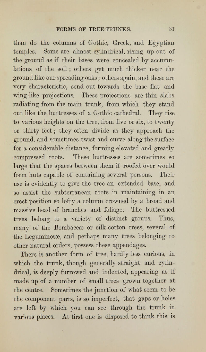 FORMS OF TREE-TRUNKS. 31 than do the columns of Gothic, Greek, and Egyptian temples. Some are almost cylindrical, rising up out of the ground as if their bases were concealed by accumu¬ lations of the soil ; others get much thicker near the ground like our spreading oaks ; others again, and these are very characteristic, send out towards the base flat and wing-like projections. These projections are thin slabs radiating from the main trunk, from which they stand out like the buttresses of a Gothic cathedral. They rise to various heights on the tree, from five or six, to twenty or thirty feet ; they often divide as they approach the ground, and sometimes twist and curve along the surface for a considerable distance, forming elevated and greatly compressed roots. These buttresses are sometimes so large that the spaces between them if roofed over would form huts capable of containing several persons. Their use is evidently to give the tree an extended base, and so assist the subterranean roots in maintaining in an erect position so lofty a column crowned by a broad and massive head of branches and foliage. The buttressed trees belong to a variety of distinct groups. Thus, many of the Bombacese or silk-cotton trees, several of the Leguminosas, and perhaps many trees belonging to other natural orders, possess these appendages. There is another form of tree, hardly less curious, in which the trunk, though generally straight and cylin¬ drical, is deeply furrowed and indented, appearing as if made up of a number of small trees grown together at the centre. Sometimes the junction of what seem to be the component parts, is so imperfect, that gaps or holes are left by which you can see through the trunk in various places. At first one is disposed to think this is