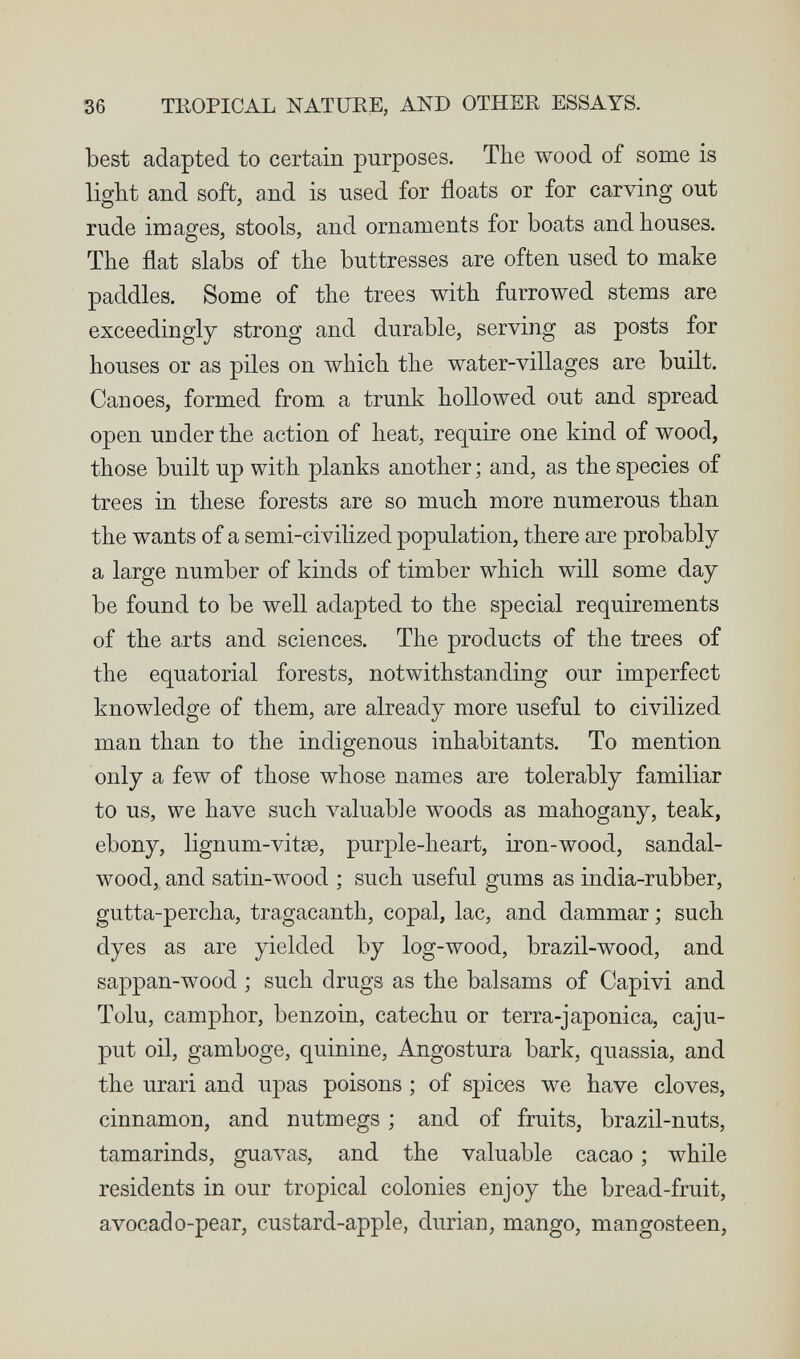 36 TKOPICAL NATURE, AND OTHER ESSAYS. best adapted to certain purposes. The wood of some is light and soft, and is used for floats or for carving out rude images, stools, and ornaments for boats and houses. The flat slabs of the buttresses are often used to make paddles. Some of the trees with furrowed stems are exceedingly strong and durable, serving as posts for houses or as piles on which the water-villages are built. Canoes, formed from a trunk hollowed out and spread open under the action of heat, require one kind of wood, those built up with planks another ; and, as the species of trees in these forests are so much more numerous than the wants of a semi-civilized population, there are probably a large number of kinds of timber which will some day be found to be well adapted to the special requirements of the arts and sciences. The products of the trees of the equatorial forests, notwithstanding our imperfect knowledge of them, are already more useful to civilized man than to the indigenous inhabitants. To mention only a few of those whose names are tolerably familiar to us, we have such valuable woods as mahogany, teak, ebony, lignum-vitse, purple-heart, iron-wood, sandal¬ wood, and satin-wood ; such useful gums as india-rubber, gutta-percha, tragacanth, copal, lac, and dammar ; such dyes as are yielded by log-wood, brazil-wood, and sappan-wood ; such drugs as the balsams of Capivi and Tolu, camphor, benzoin, catechu or terra-japonica, caju- put oil, gamboge, quinine, Angostura bark, quassia, and the urari and upas poisons ; of spices we have cloves, cinnamon, and nutmegs ; and of fruits, brazil-nuts, tamarinds, guavas, and the valuable cacao ; while residents in our tropical colonies enjoy the bread-fruit, avocado-pear, custard-apple, durian, mango, mangosteen.