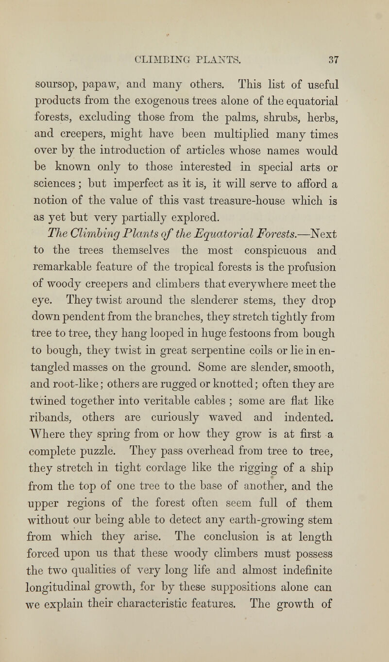 CLIMBING PLAIÑTTS. 37 soursop, papaw, and many others. This list of useful products from the exogenous trees alone of the equatorial forests, excluding those from the palms, shrubs, herbs, and creepers, might have been multiplied many times over by the introduction of articles whose names would be known only to those interested in special arts or sciences ; but imperfect as it is, it will serve to afford a notion of the value of this vast treasure-house which is as yet but very partially explored. The Climbing Plants of the Equatorial Forests.—Next to the trees themselves the most conspicuous and remarkable feature of the tropical forests is the profusion of woody creepers and climbers that everywhere meet the eye. They twist around the slenderer stems, they drop down pendent from the branches, they stretch tightly from tree to tree, they hang looped in huge festoons from bough to bough, they twist in great serpentine coils or lie in en¬ tangled masses on the ground. Some are slender, smooth, and root-like ; others are rugged or kuotted; often they are twined together into veritable cables ; some are flat like ribands, others are curiously waved and indented. Where they spring from or how they grow is at first a complete puzzle. They pass overhead from tree to tree, they stretch in tight cordage like the rigging of a ship from the top of one tree to the base of another, and the upper regions of the forest often seem full of them without our being able to detect any earth-growing stem from which they arise. The conclusion is at length forced upon us that these woody climbers must possess the two qualities of very long life and almost indefinite longitudinal growth, for by these suppositions alone can we explain their characteristic features. The growth of