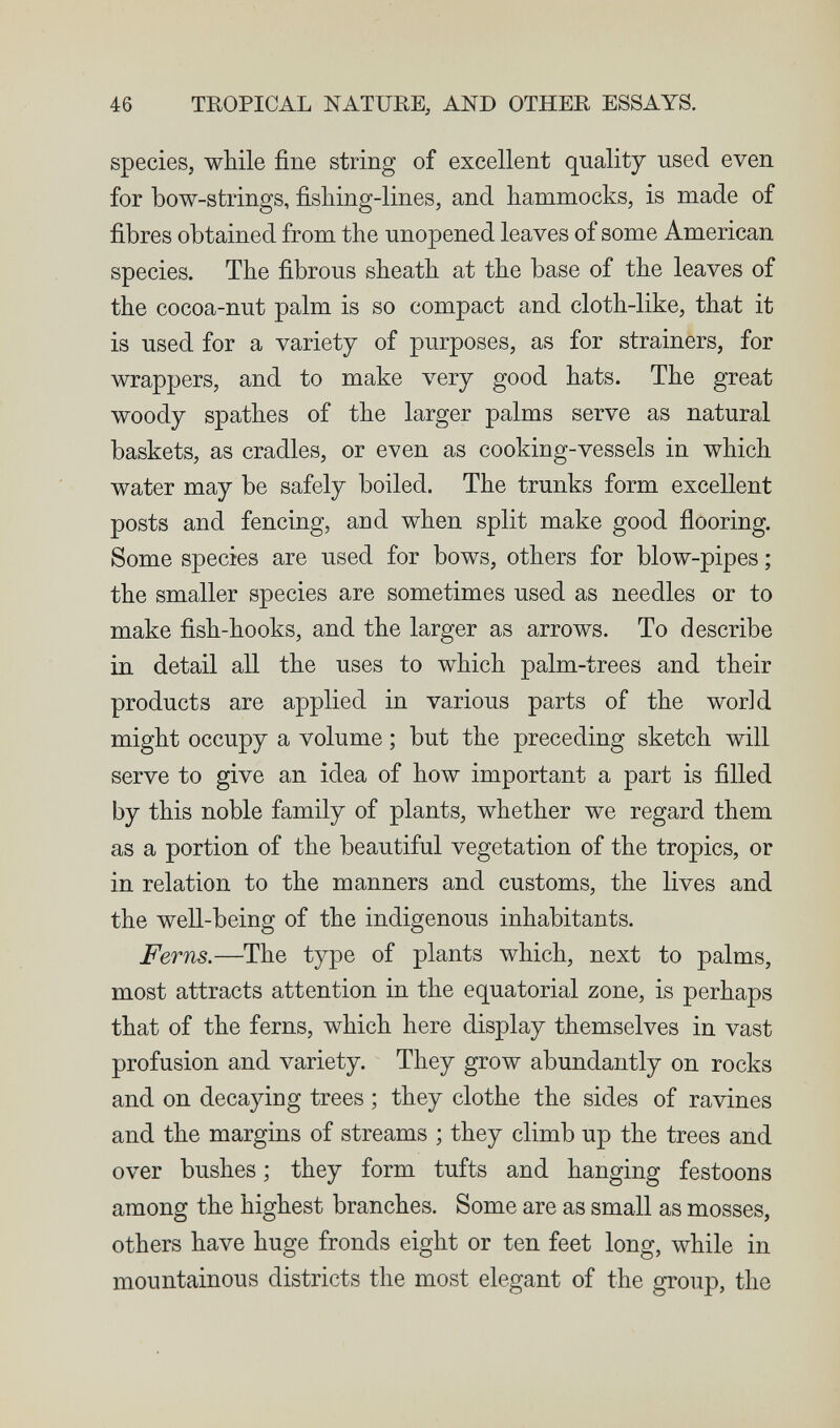 46 TROPICAL NATURE, AND OTHER ESSAYS. species, wbile fine string of excellent quality used even for bow-strings, fishing-lines, and hammocks, is made of fibres obtained from the unopened leaves of some American species. The fibrous sheath at the base of the leaves of the cocoa-nut palm is so compact and cloth-like, that it is used for a variety of purposes, as for strainers, for wrappers, and to make very good hats. The great woody spathes of the larger palms serve as natural baskets, as cradles, or even as cooking-vessels in which water may be safely boiled. The trunks form excellent posts and fencing, aud when split make good flooring. Some species are used for bows, others for blow-pipes ; the smaller species are sometimes used as needles or to make fish-hooks, and the larger as arrows. To describe in detail all the uses to which palm-trees and their products are applied in various parts of the world might occupy a volume ; but the preceding sketch will serve to give an idea of how important a part is filled by this noble family of plants, whether we regard them as a portion of the beautiful vegetation of the tropics, or in relation to the manners and customs, the lives and the well-being of the indigenous inhabitants. Ferns.—The type of plants which, next to palms, most attracts attention in the equatorial zone, is perhaps that of the ferns, which here display themselves in vast profusion and variety. They grow abundantly on rocks and on decaying trees ; they clothe the sides of ravines and the margins of streams ; they climb up the trees and over bushes ; they form tufts and hanging festoons among the highest branches. Some are as small as mosses, others have huge fronds eight or ten feet long, while in mountainous districts the most elegant of the group, the