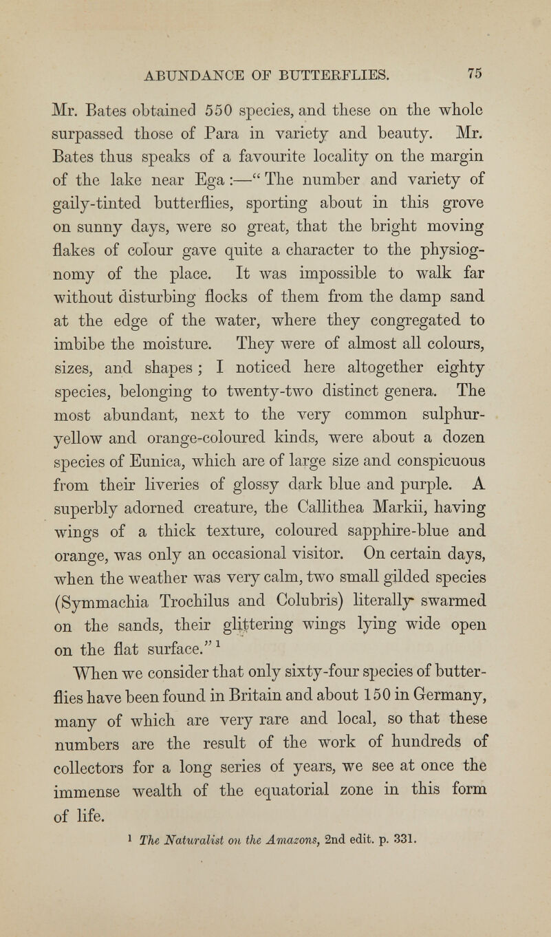 ABUNDANCE OF BUTTERFLIES. 75 Mr. Bates obtained 550 species, and these on the whole surpassed, those of Para in variety and. beanty. Mr. Bates thus speaks of a favourite locality on the margin of the lake near Ega :— The number and variety of gaily-tinted, butterflies, sporting about in this grove on sunny days, луеге so great, that the bright moving flakes of colour gave quite a character to the physiog¬ nomy of the place. It was impossible to walk far without disturbing flocks of them from the damp sand, at the edge of the water, where they congregated, to imbibe the moisture. They were of almost all colours, sizes, and. shapes ; I noticed, here altogether eighty species, belonging to twenty-two distinct genera. The most abundant, next to the very common sulphur- yellow and orange-coloured kinds, were about a dozen species of Eunica, which are of large size and conspicuous from their liveries of glossy dark blue and. purple. A superbly adorned, creature, the Callithea Markii, having wings of a thick texture, coloured sapphire-blue and orange, was only an occasional visitor. On certain days, when the weather was very calm, two small gilded species (Symmachia Trochilus and Colubris) literally- swarmed on the sands, their glittering wings lying wide open on the flat surface.^ When we consider that only sixty-four species of butter¬ flies have been found in Britain and. about 150 in Germany, many of which are very rare and local, so that these numbers are the result of the work of hundreds of collectors for a long series of years, we see at once the immense wealth of the equatorial zone in this form of life. 1 The Naturalist on the Amazons, 2nd edit. p. 331.