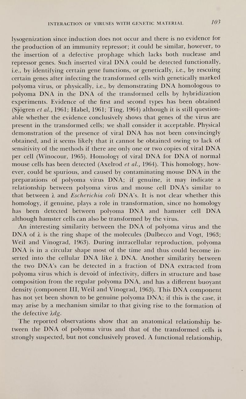 INTERACTION OF VIRUSES WITH GENETIC MATERIAL 103 lysogenization since induction does not occur and there is no evidence for the production of an immunity repressor; it could be similar, however, to the insertion of a defective prophage which lacks both nuclease and repressor genes. Such inserted viral DNA could be detected functionally, i.e., by identifying certain gene functions, or genetically, i.e., by rescuing certain genes after infecting the transformed cells with genetically marked polyoma virus, or physically, i.e., by demonstrating DNA homologous to polyoma DNA in the DNA of the transformed cells by hybridization experiments. Evidence of the first and second types has been obtained (Sjögren et al., 1961; Habel, 1961; Ting, 1964) although it is still question¬ able whether the evidence conclusively shows that genes of the virus are present in the transformed cells; we shall consider it acceptable. Physical demonstration of the presence of viral DNA has not been convincingly obtained, and it seems likely that it cannot be obtained owing to lack of sensitivity of the methods if there are only one or two copies of viral DNA per cell (Winocour, 1965). Homology of viral DNA for DNA of normal mouse cells has been detected (Axelrod et al., 1964). This homology, how¬ ever, could be spurious, and caused by contaminating mouse DNA in the preparations of polyoma virus DNA; if genuine, it may indicate a relationship between polyoma virus and mouse cell DNA's similar to that between À and Escherichia coli DNA's. It is not clear whether this homology, if genuine, plays a role in transformation, since no homology has been detected between polyoma DNA and hamster cell DNA although hamster cells can also be transformed by the virus. An interesting similarity between the DNA of polyoma virus and the DNA of À is the ring shape of the molecules (Dulbecco and Vogt, 1963; Weil and Vinograd, 1963). During intracellular reproduction, polyoma DNA is in a circular shape most of the time and thus could become in¬ serted into the cellular DNA like À DNA. Another similarity between the two DNA's can be detected in a fraction of DNA extracted from polyoma virus which is devoid of infectivity, differs in structure and base composition from the regular polyoma DNA, and has a different buoyant density (component III, Weil and Vinograd, 1963). This DNA component has not yet been shown to be genuine polyoma DNA; if this is the case, it may arise by a mechanism similar to that giving rise to the formation of the defective kdg. The reported observations show that an anatomical relationship be¬ tween the DNA of polyoma virus and that of the transformed cells is strongly suspected, but not conclusively proved. A functional relationship,