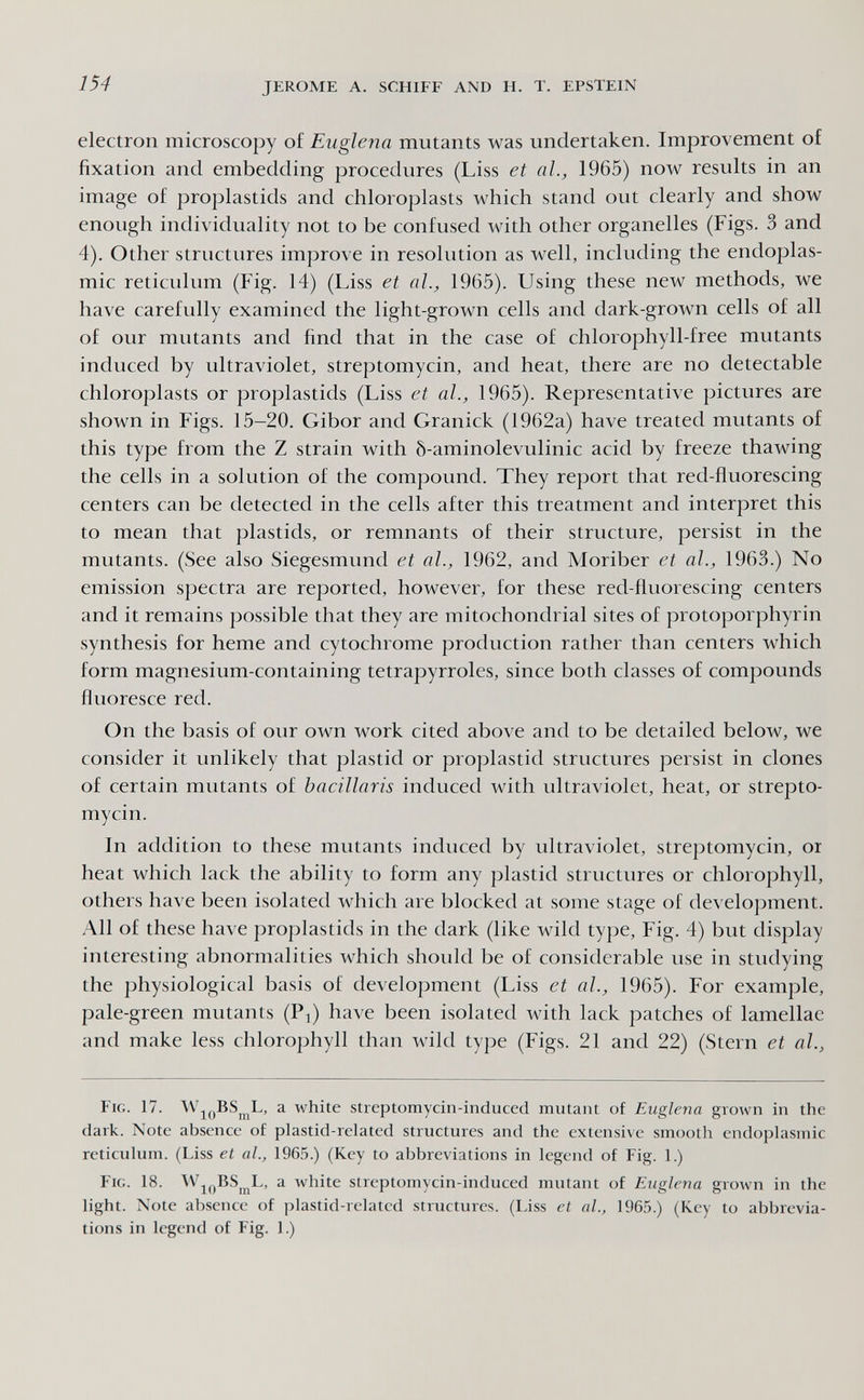 154 JEROME A. SCHIFF AND H. T. EPSTEIN electron microscopy of Euglena mutants was undertaken. Improvement of fixation and embedding procedures (Liss et al., 1965) now results in an image of proplastids and chloroplasts which stand out clearly and show enough individuality not to be confused with other organelles (Figs. 3 and 4). Other structures improve in resolution as well, including the endoplas¬ mic reticulum (Fig. 14) (Liss et al., 1965). Using these new methods, we have carefully examined the light-grown cells and dark-grown cells of all of our mutants and find that in the case of chlorophyll-free mutants induced by ultraviolet, streptomycin, and heat, there are no detectable chloroplasts or proplastids (Liss et al., 1965). Representative pictures are shown in Figs. 15-20. Gibor and Granick (1962a) have treated mutants of this type from the Z strain with ô-aminolevulinic acid by freeze thawing the cells in a solution of the compound. They report that red-fiuorescing centers can be detected in the cells after this treatment and interpret this to mean that plastids, or remnants of their structure, persist in the mutants. (See also Siegesmund et al., 1962, and Moriber et al., 1963.) No emission spectra are reported, however, for these red-fluorescing centers and it remains possible that they are mitochondrial sites of protoporphyrin synthesis for heme and cytochrome production rather than centers which form magnesium-containing tetrapyrroles, since both classes of compounds fluoresce red. On the basis of our own work cited above and to be detailed below, we consider it unlikely that plastid or proplastid structures persist in clones of certain mutants of baeillaris induced with ultraviolet, heat, or strepto¬ mycin. In addition to these mutants induced by ultraviolet, streptomycin, or heat which lack the ability to form any plastid structures or chlorophyll, others have been isolated which are blocked at some stage of development. All of these have proplastids in the dark (like wild type, Fig. 4) but display interesting abnormalities which should be of considerable use in studying the physiological basis of development (Liss et al., 1965). For example, pale-green mutants (Pj) have been isolated with lack patches of lamellae and make less chlorophyll than wild type (Figs. 21 and 22) (Stern et al.. Fig. 17. a white streptomycin-induced mutant of Euglena grown in the dark. Note absence of plastid-related structures and the extensive smooth endoplasmic reticulum. (Liss et al., 1965.) (Key to abbreviations in legend of Fig. 1.) Fig. 18. a white streptomycin-induced mutant of Euglena grown in the light. Note absence of plastid-related structures. (Liss et al., 1965.) (Key to abbrevia¬ tions in legend of Fig. 1.)