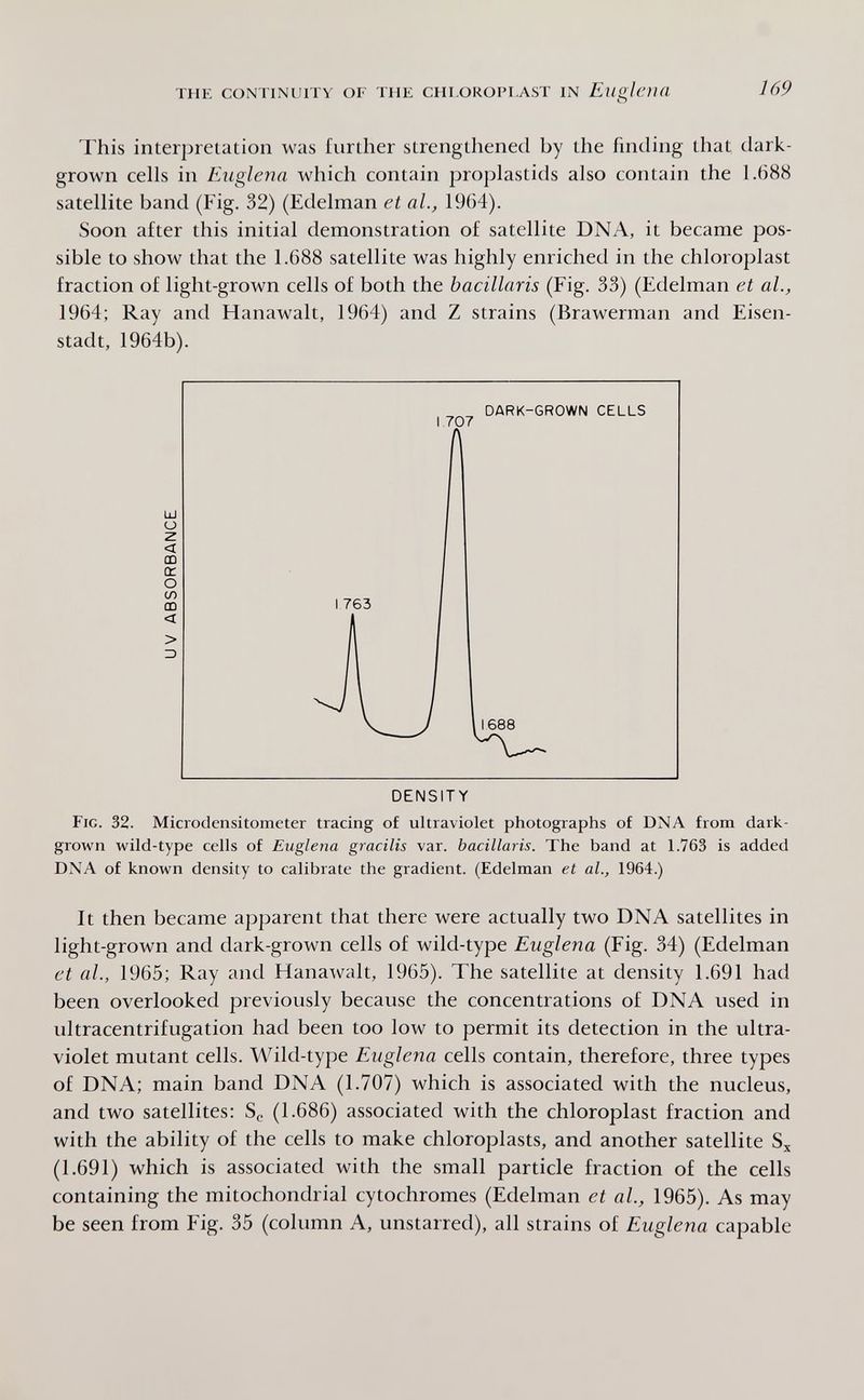 the continuity of the chloropi.ast in Eugloia 169 This interpreiatioii was furiher strengthened by the finding that dark- grown cells in Euglena which contain jjroplastids also contain the 1.688 satellite band (Fig. 32) (Edelman et al., 1964). Soon after this initial demonstration of satellite DNA, it became pos¬ sible to show that the 1.688 satellite was highly enriched in the chloroplast fraction of light-grown cells of both the bacillaris (Fig. 33) (Edelman et al., 1964; Ray and Hanawalt, 1964) and Z strains (Brawerman and Eisen¬ stadt, 1964b). DENSITY Fig. 32. Microdensitometer tracing of ultraviolet photographs of DNA from dark- grown wild-type cells of Euglena gracilis var. bacillaris. The band at 1.763 is added DNA of known density to calibrate the gradient. (Edelman et al., 1964.) It then became apparent that there were actually two DNA satellites in light-grown and dark-grown cells of wild-type Euglena (Fig. 34) (Edelman et al., 1965; Ray and Hanawalt, 1965). The satellite at density 1.691 had been overlooked previously because the concentrations of DNA used in ultracentrifugation had been too low to permit its detection in the ultra¬ violet mutant cells. Wild-type Euglena cells contain, therefore, three types of DNA; main band DNA (1.707) which is associated with the nucleus, and two satellites: Sg (1.686) associated with the chloroplast fraction and with the ability of the cells to make chloroplasts, and another satellite (1.691) which is associated with the small particle fraction of the cells containing the mitochondrial cytochromes (Edelman et al., 1965). As may be seen from Fig. 35 (column A, unstarred), all strains of Euglena capable
