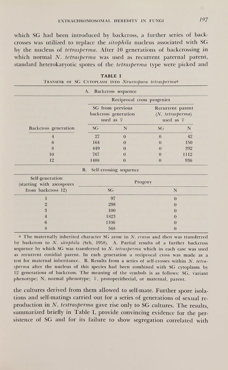 EXTRACHROMOSOMAL HEREDITY IN FUNGI 197 which SG had been introduced by backcross, a further series of back- crosses was utilized to replace the sitophila nucleus associated with SG by the nucleus of tetraspcrma. After 10 generations of backcrossing in which normal N. tetrasperma was used as recurrent paternal parent, standard heterokaryotic spores of the tetrasperma type were picked and TABLE I Transfer of SG Cytoplasm into Neurospora tetrasperma^ A. Backcross sequence Reciprocal cross progenies SG from previous Recurrent parent backcross generation (N. tetrasperma) used as ? used as $ ® The maternally inherited character SG arose in N. crassa and then was transferred by backcross to N. sitophila (Srb, 1958). A. Partial results of a further backcross sequence by which SG was transferred to N. tetrasperma which in each case was used as recurrent conidial parent. In each generation a reciprocal cross was made as a test for maternal inheritance. B. Results from a series of self-crosses within N. tetra¬ sperma after the nucleus of this species had been combined with SG cytoplasm by 12 generations of backcross. The meaning of the symbols is as follows: SG, variant phenotype; N, normal phenotype; ?, protoperithecial, or maternal, parent. the cultures derived from them allowed to self-mate. Further spore isola¬ tions and self-matings carried out for a series of generations of sexual re¬ production in N. testrasperma gave rise only to SG cultures. The results, summarized briefly in Table I, provide convincing evidence for the per¬ sistence of SG and for its failure to show segregation correlated with