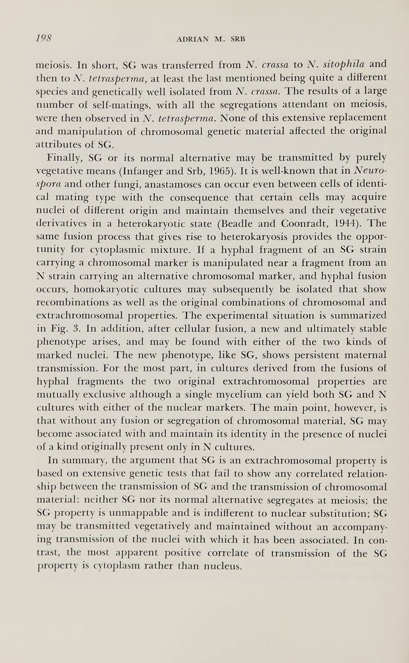 198 ADRIAN M. SRB meiosis. In short, SG was transferred from N. crassa to N. sitophila and then to N. tetrasperma, at least the last mentioned being quite a different species and genetically well isolated from N. crassa. The results of a large number of self-matings, with all the segregations attendant on meiosis, were then observed in N. tetrasperma. None of this extensive replacement and manipulation of chromosomal genetic material affected the original attributes of SG. Finally, SG or its normal alternative may be transmitted by purely vegetative means (Infanger and Srb, 1965). It is well-known that in Neuro¬ spora and other fungi, anastamoses can occur even between cells of identi¬ cal mating type with the consequence that certain cells may acquire nuclei of different origin and maintain themselves and their vegetative derivatives in a heterokaryotic state (Beadle and Coonradt, 1944). The same fusion process that gives rise to heterokaryosis provides the oppor¬ tunity for cytoplasmic mixture. If a hyphal fragment of an SG strain carrying a chromosomal marker is manipulated near a fragment from an N strain carrying an alternative chromosomal marker, and hyphal fusion occurs, homokaryotic cultures may subsequently be isolated that show recombinations as well as the original combinations of chromosomal and extrachromosomal properties. The experimental situation is summarized in Fig. 3. In addition, after cellular fusion, a new and ultimately stable phenotype arises, and may be found with either of the two kinds of marked nuclei. The new phenotype, like SG, shows persistent maternal transmission. For the most part, in cultures derived from the fusions of hyphal fragments the two original extrachromosomal properties are mutually exclusive although a single mycelium can yield both SG and N cultures with either of the nuclear markers. The main point, however, is that without any fusion or segregation of chromosomal material, SG may become associated with and maintain its identity in the presence of nuclei of a kind originally present only in N cultures. In summary, the argument that SG is an extrachromosomal property is based on extensive genetic tests that fail to show any correlated relation¬ ship between the transmission of SG and the transmission of chromosomal material; neither SG nor its normal alternative segregates at meiosis; the SG property is unmappable and is indifferent to nuclear substitution; SG may be transmitted vegetatively and maintained without an accompany¬ ing transmission of the nuclei with which it has been associated. In con¬ trast, the most apparent positive correlate of transmission of the SG property is cytoplasm rather than nucleus.