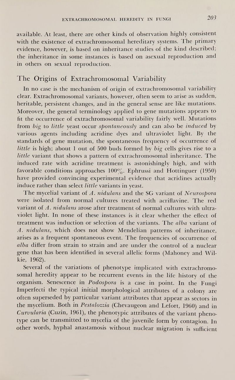 EXTRACHROMOSOMAL HEREDITY IN FUNGI 203 available. At least, there are other kinds of observation highly consistent with the existence of extrachromosomal hereditary systems. The primary evidence, however, is based on inheritance studies of the kind described; the inheritance in some instances is based on asexual reproduction and in others on sexual reproduction. The Origins of Extrachromosomal Variability In no case is the mechanism of origin of extrachromosomal variability clear. Extrachromosomal variants, however, often seem to arise as sudden, heritable, persistent changes, and in the general sense are like mutations. Moreover, the general terminology applied to gene mutations appears to fit the occurrence of extrachromosomal variability fairly well. Mutations from big to little yeast occur spontaneously and can also be induced by various agents including acridine dyes and ultraviolet light. By the standards of gene mutation, the spontaneous frequency of occurrence of little is high; about 1 out of 500 buds formed by big cells gives rise to a little variant that shows a pattern of extrachromosomal inheritance. The induced rate with acridine treatment is astonishingly high, and with favorable conditions approaches 100%. Ephrussi and Hottinguer (1950) have provided convincing experimental evidence that acridines actually induce rather than select little variants in yeast. The mycelial variant of A. nidulans and the SG variant of Neurospora were isolated from normal cultures treated with acriflavine. The red variant of A. nidulans arose after treatment of normal cultures with ultra¬ violet light. In none of these instances is it clear whether the effect of treatment was induction or selection of the variants. The alba variant of A. nidulans, which does not show Mendelian patterns of inheritance, arises as a frequent spontaneous event. The frequencies of occurrence of alba differ from strain to strain and are under the control of a nuclear gene that has been identified in several allelic forms (Mahoney and Wil- kie, 1962). Several of the variations of phenotype implicated with extrachromo¬ somal heredity appear to be recurrent events in the life history of the organism. Senescence in Podospora is a case in point. In the Fungi Imperfecti the typical initial morphological attributes of a colony are often superseded by particular variant attributes that appear as sectors in the mycelium. Both in Pestalozzia (Chevaugeon and Lefort, I960) and in Curvularia (Cuzin, 1961), the phenotypic attributes of the variant pheno¬ type can be transmitted to mycelia of the juvenile form by contagion. In other words, hyphal anastamosis without nuclear migration is sufficient