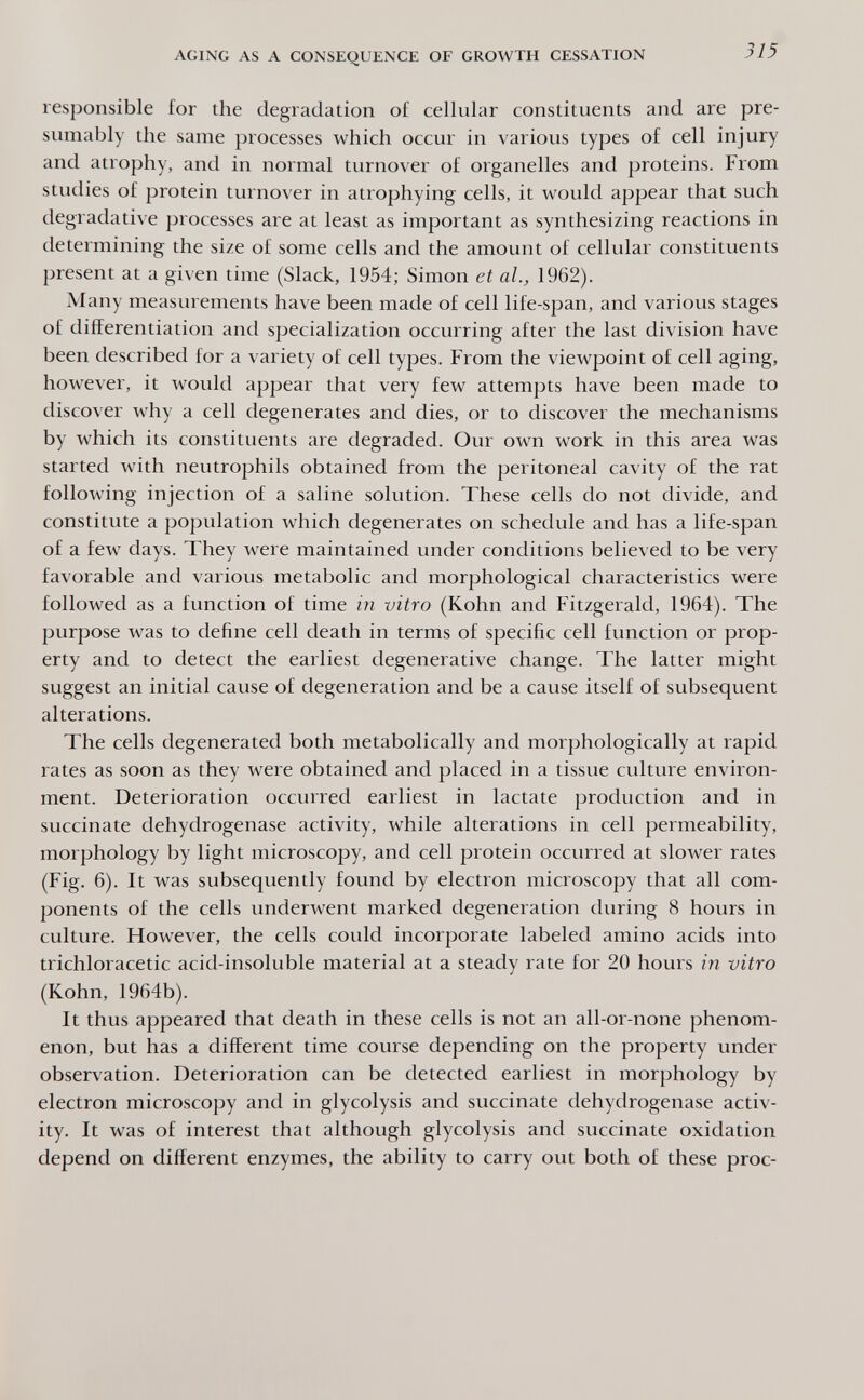 AGING AS A CONSEQUENCE OF GROWTH CESSATION 315 responsible for the degradation of cellular constituents and are pre¬ sumably the same processes which occur in various types of cell injury and atrophy, and in normal turnover of organelles and proteins. From studies of protein turnover in atrophying cells, it would appear that such degradative processes are at least as important as synthesizing reactions in determining the size of some cells and the amount of cellular constituents present at a given time (Slack, 1954; Simon et al, 1962). Many measurements have been made of cell life-span, and various stages of differentiation and specialization occurring after the last division have been described for a variety of cell types. From the viewpoint of cell aging, however, it would appear that very few attempts have been made to discover why a cell degenerates and dies, or to discover the mechanisms by which its constituents are degraded. Our own work in this area was started with neutrophils obtained from the peritoneal cavity of the rat following injection of a saline solution. These cells do not divide, and constitute a population which degenerates on schedule and has a life-span of a few days. They were maintained under conditions believed to be very favorable and various metabolic and morphological characteristics were followed as a function of time in vitro (Kohn and Fitzgerald, 1964). The purpose was to define cell death in terms of specific cell function or prop¬ erty and to detect the earliest degenerative change. The latter might suggest an initial cause of degeneration and be a cause itself of subsequent alterations. The cells degenerated both metabolically and morphologically at rapid rates as soon as they were obtained and placed in a tissue culture environ¬ ment. Deterioration occurred earliest in lactate production and in succinate dehydrogenase activity, while alterations in cell permeability, morphology by light microscopy, and cell protein occurred at slower rates (Fig. 6). It was subsequently found by electron microscopy that all com¬ ponents of the cells underwent marked degeneration during 8 hours in culture. However, the cells could incorporate labeled amino acids into trichloracetic acid-insoluble material at a steady rate for 20 hours in vitro (Kohn, 1964b). It thus appeared that death in these cells is not an all-or-none phenom¬ enon, but has a different time course depending on the property under observation. Deterioration can be detected earliest in morphology by electron microscopy and in glycolysis and succinate dehydrogenase activ¬ ity. It was of interest that although glycolysis and succinate oxidation depend on different enzymes, the ability to carry out both of these proc-