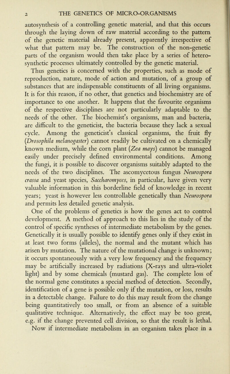 2 THE GENETICS OF MICRO-ORGANISMS autosynthesis of a controlling genetic material, and that this occurs through the laying down of raw material according to the pattern of the genetic material already present, apparently irrespective of what that pattern may be. The construction of the non-genetic parts of the organism would then take place by a series of hetero- synthetic processes ultimately controlled by the genetic material. Thus genetics is concerned with the properties, such as mode of reproduction, nature, mode of action and mutation, of a group of substances that are indispensable constituents of all hving organisms. It is for this reason, if no other, that genetics and biochemistry are of importance to one another. It happens that the favourite organisms of the respective disciphnes are not particularly adaptable to the needs of the other. The biochemist's organisms, man and bacteria, are difficult to the geneticist, the bacteria because they lack a sexual cycle. Among the geneticist's classical organisms, the fruit fly {Drosophila melanogaster) cannot readily be cultivated on a chemically knovm medium, while the corn plant [Zea mays) cannot be managed easily under precisely defined environmental conditions. Among the fungi, it is possible to discover organisms suitably adapted to the needs of the two disciplines. The ascomycetous fungus Neurospora crassa and yeast species, Saccharomyces, in particular, have given very valuable information in this borderline field of knowledge in recent years; yeast is however less controllable genetically than Neurospora and permits less detailed genetic analysis. One of the problems of genetics is how the genes act to control development. A method of approach to this lies in the study of the control of specific syntheses of intermediate metabolism by the genes. Genetically it is usually possible to identify gènes only if they exist in at least two forms (alleles), the normal and the mutant which has arisen by mutation. The nature of the mutational change is unknown; it occurs spontaneously with a very low frequency and the frequency may be artificially increased by radiations (X-rays and ultra-violet hght) and by some chemicals (mustard gas). The complete loss of the normal gene constitutes a special method of detection. Secondly, identification of a gene is possible only if the mutation, or loss, results in a detectable change. Failure to do this may result from the change being quantitatively too small, or from an absence of a suitable qualitative technique. Alternatively, the effect may be too great, e.g. if the change prevented cell division, so that the result is lethal. Now if intermediate metabohsm in an organism takes place in a