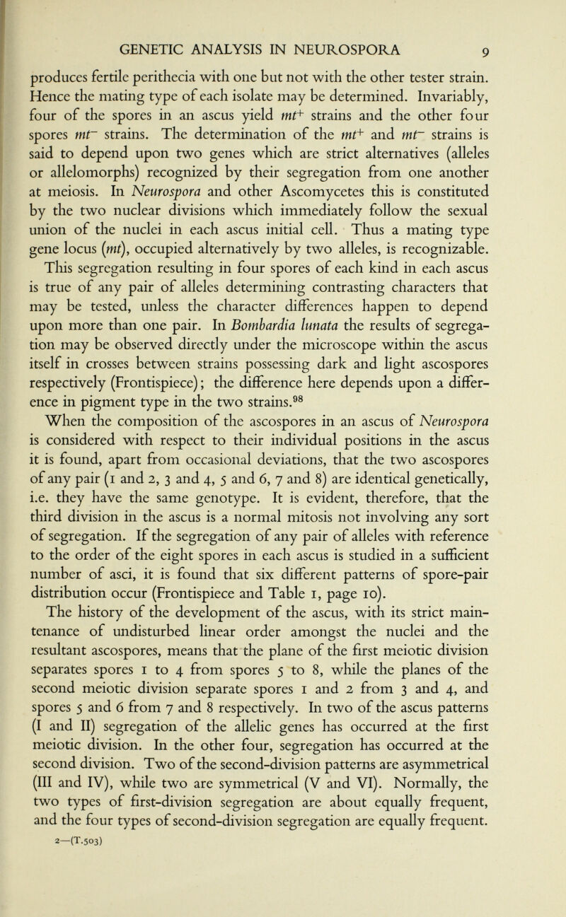 GENETIC ANALYSIS IN NEUROSPORA 9 produces fertile perithecia with one but not with the other tester strain. Hence the mating type of each isolate may be determined. Invariably, four of the spores in an ascus yield mt+ strains and the other four spores mt~ strains. The determination of the and mt~ strains is said to depend upon two genes which are strict alternatives (alleles or allelomorphs) recognized by their segregation from one another at meiosis. In Neurospora and other Ascomycetes this is constituted by the two nuclear divisions which immediately follow the sexual union of the nuclei in each ascus initial cell. Thus a mating type gene locus (mi), occupied alternatively by two alleles, is recognizable. Tliis segregation resulting in four spores of each kind in each ascus is true of any pair of alleles determining contrasting characters that may be tested, unless the character differences happen to depend upon more than one pair. In Bombardia lunata the results of segrega¬ tion may be observed directly under the microscope within the ascus itself in crosses between strains possessing dark and light ascospores respectively (Frontispiece) ; the difference here depends upon a differ¬ ence in pigment type in the two strains.^® When the composition of the ascospores in an ascus of Neurospora is considered with respect to their individual positions in the ascus it is found, apart from occasional deviations, that the two ascospores of any pair (i and 2, 3 and 4, 5 and 6, 7 and 8) are identical genetically, i.e. they have the same genotype. It is evident, therefore, that the third division in the ascus is a normal mitosis not involving any sort of segregation. If the segregation of any pair of alleles with reference to the order of the eight spores in each ascus is studied in a sufficient number of asci, it is found that six different patterns of spore-pair distribution occur (Frontispiece and Table i, page 10). The history of the development of the ascus, with its strict main¬ tenance of undisturbed linear order amongst the nuclei and the resultant ascospores, means that the plane of the first meiotic division separates spores i to 4 from spores 5 to 8, while the planes of the second meiotic division separate spores i and 2 from 3 and 4, and spores 5 and 6 from 7 and 8 respectively. In two of the ascus patterns (I and II) segregation of the allelic genes has occurred at the first meiotic division. In the other four, segregation has occurred at the second division. Two of the second-division patterns are asymmetrical (III and IV), while two are symmetrical (V and VI). Normally, the two types of first-division segregation are about equally frequent, and the four types of second-division segregation are equally frequent. 2—(T.503)