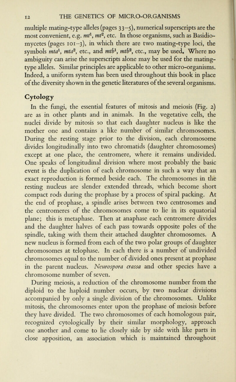 THE GENETICS OF MICRO-ORGANISMS multiple mating-type alleles (pages 33-5), numerical superscripts are the most convenient, e.g. mf-, mfi, etc. In those organisms, such as Basidio- mycetes (pages 101-3), in which there are two mating-type loci, the symbols mta^, mta^y etc., and mth^^ mtb^, etc., may be used. Where no ambiguity can arise the superscripts alone may be used for the mating- type alleles. Similar principles are applicable to other micro-organisms. Indeed, a uniform system has been used throughout this book in place of the diversity shown in the genetic literatures of the several organisms. Cytology In the fungi, the essential features of mitosis and meiosis (Fig. 2) are as in other plants and in animals. In the vegetative cells, the nuclei divide by mitosis so that each daughter nucleus is hke the mother one and contains a like number of similar chromosomes. During the resting stage prior to the division, each chromosome divides longitudinally into two chromatids (daughter chromosomes) except at one place, the centromere, where it remains undivided. One speaks of longitudinal division where most probably the basic event is the duplication of each chromosome in such a way that an exact reproduction is formed beside each. The chromosomes in the resting nucleus are slender extended threads, which become short compact rods during the prophase by a process of spiral packing. At the end of prophase, a spindle arises between two centrosomes and the centromeres of the chromosomes come to lie in its equatorial plane; this is metaphase. Then at anaphase each centromere divides and the daughter halves of each pass towards opposite poles of the spindle, taking with them their attached daughter chromosomes. A new nucleus is formed from each of the two polar groups of daughter chromosomes at telophase. In each there is a number of undivided chromosomes equal to the number of divided ones present at prophase in the parent nucleus. Neurospora crassa and other species have a chromosome number of seven. During meiosis, a reduction of the chromosome number from the diploid to the haploid number occurs, by two nuclear divisions accompanied by only a single division of the chromosomes. Unlike mitosis, the chromosomes enter upon the prophase of meiosis before they have divided. The two chromosomes of each homologous pair, recognized cytologically by their similar morphology, approach one another and come to lie closely side by side with like parts in close apposition, an association which is maintained throughout