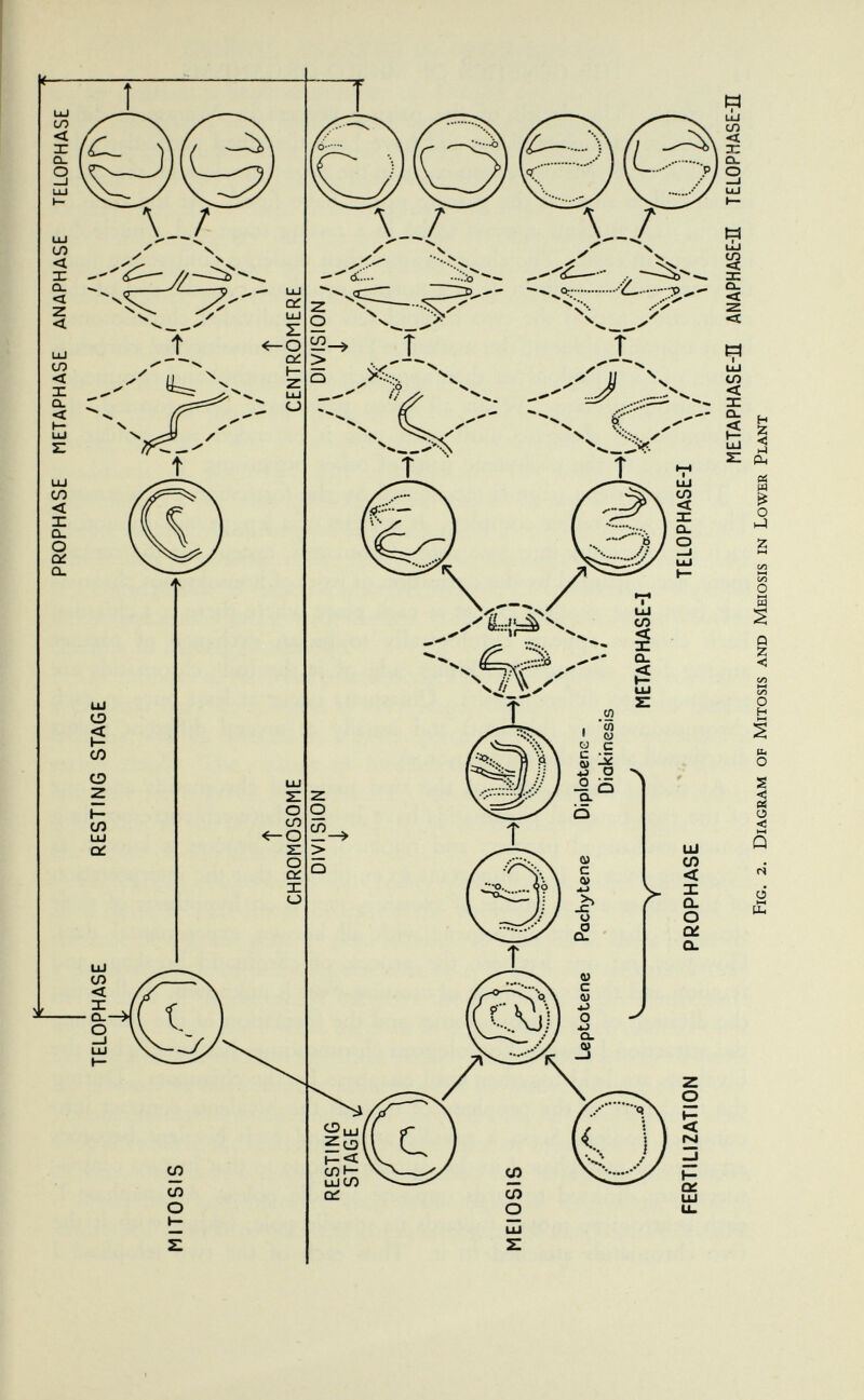 H г <î 1-4 Pl, « M о сл О 1—1 w Q Z < СЛ СЛ о H № о s « о < hH Û (S 6