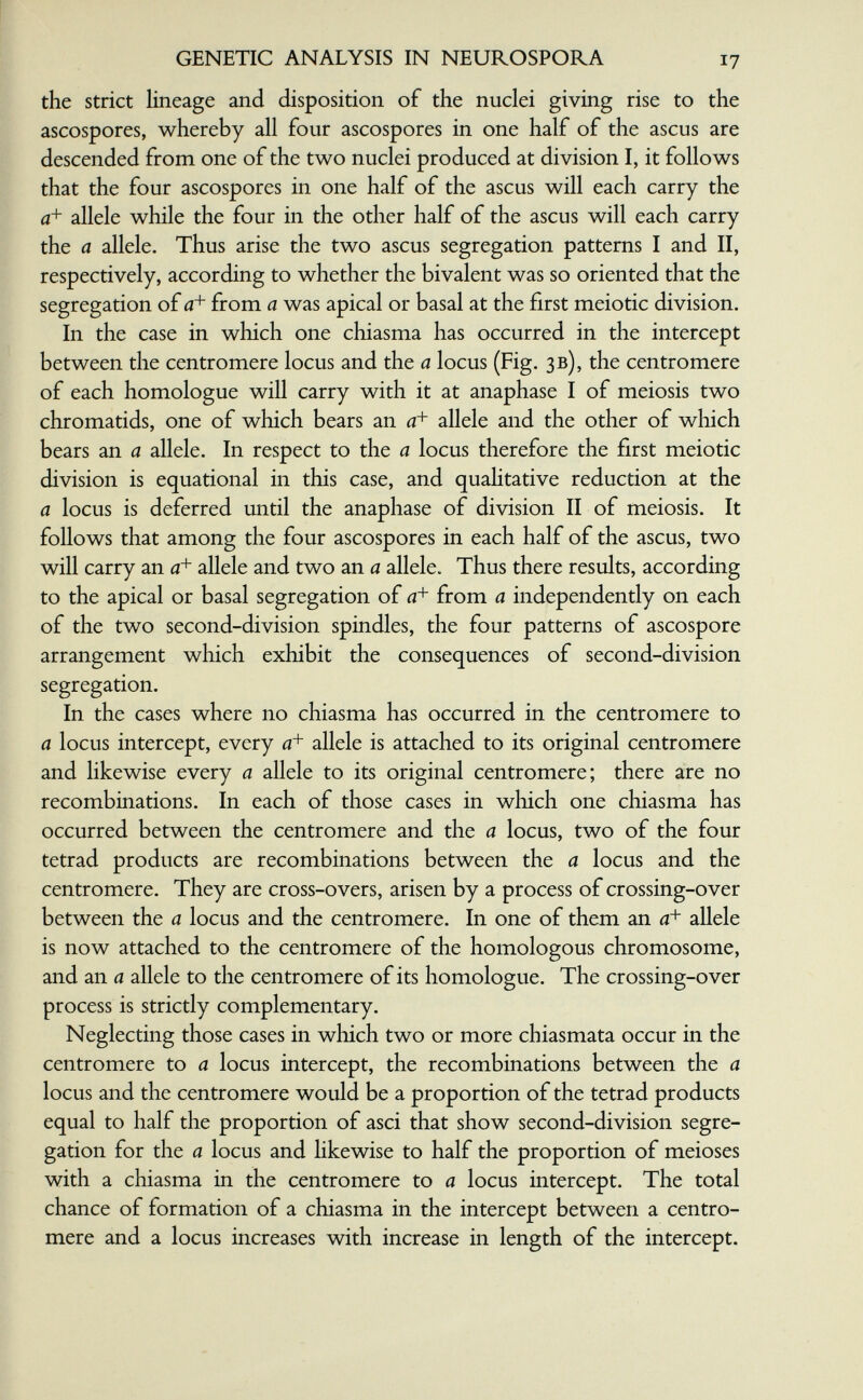 GENETIC ANALYSIS IN NEUROSPORA 17 the strict lineage and disposition of the nuclei giving rise to the ascospores, whereby all four ascospores in one half of the ascus are descended from one of the two nuclei produced at division I, it follows that the four ascospores in one half of the ascus will each carry the allele while the four in the other half of the ascus will each carry the a allele. Thus arise the two ascus segregation patterns I and II, respectively, according to whether the bivalent was so oriented that the segregation of 0+ from a was apical or basal at the first meiotic division. In the case in which one chiasma has occurred in the intercept between the centromere locus and the a locus (Fig. зв), the centromere of each homologue will carry with it at anaphase I of meiosis two chromatids, one of which bears an 0+ allele and the other of which bears an a allele. In respect to the a locus therefore the first meiotic division is equational in this case, and quahtative reduction at the a locus is deferred until the anaphase of division II of meiosis. It follows that among the four ascospores in each half of the ascus, two will carry an 0+ allele and two an a allele. Thus there results, according to the apical or basal segregation of from a independently on each of the two second-division spindles, the four patterns of ascospore arrangement which exhibit the consequences of second-division segregation. In the cases where no chiasma has occurred in the centromere to a locus intercept, every 0+ allele is attached to its original centromere and likewise every a allele to its original centromere; there are no recombinations. In each of those cases in which one chiasma has occurred between the centromere and the a locus, two of the four tetrad products are recombinations between the a locus and the centromere. They are cross-overs, arisen by a process of crossing-over between the a locus and the centromere. In one of them an <?+ allele is now attached to the centromere of the homologous chromosome, and an a allele to the centromere of its homologue. The crossing-over process is strictly complementary. Neglecting those cases in which two or more chiasmata occur in the centromere to a locus intercept, the recombinations between the a locus and the centromere would be a proportion of the tetrad products equal to half the proportion of asci that show second-division segre¬ gation for the a locus and likewise to half the proportion of meioses with a chiasma in the centromere to a locus intercept. The total chance of formation of a chiasma in the intercept between a centro¬ mere and a locus increases with increase in length of the intercept.