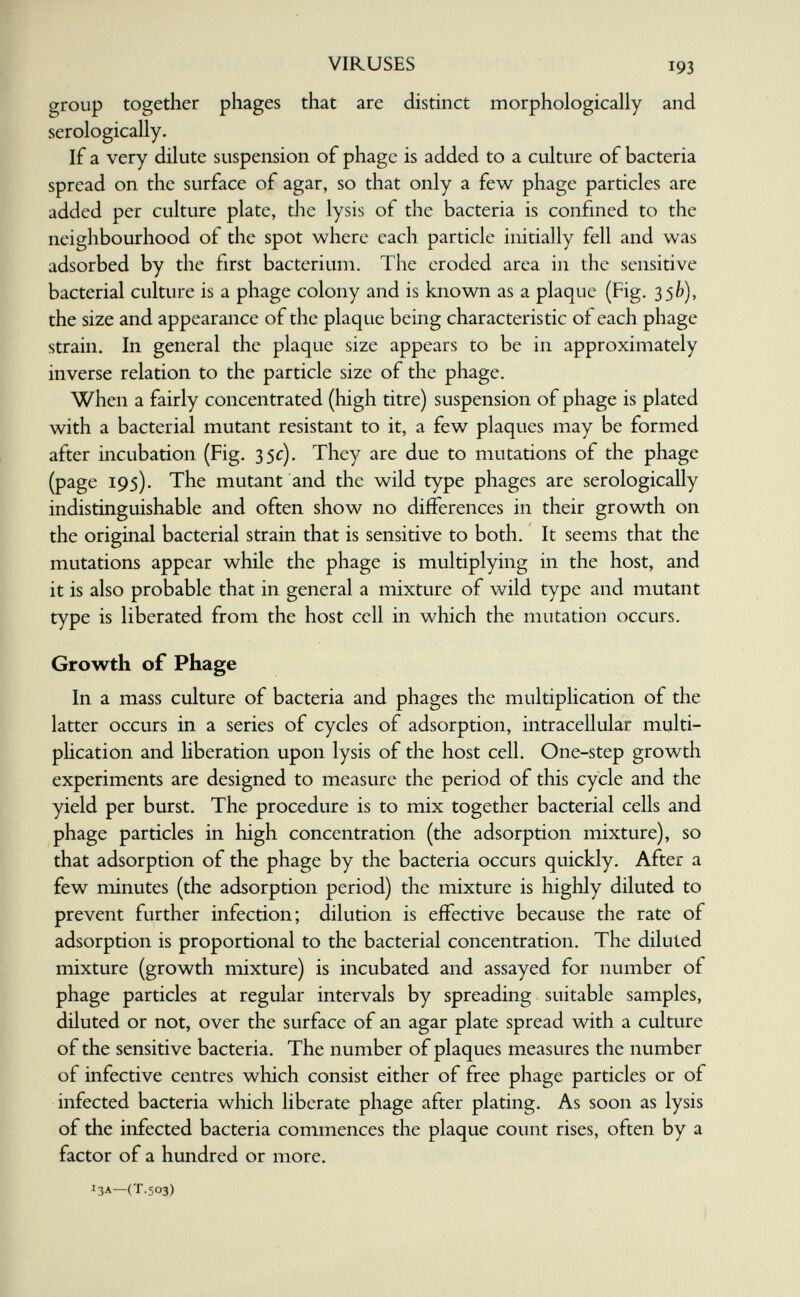 VIRUSES 193 group together phages that are distinct morphologically and serologically. If a very dilute suspension of phage is added to a culture of bacteria spread on the surface of agar, so that only a few phage particles are added per culture plate, the lysis of the bacteria is confined to the neighbourhood of the spot where each particle initially fell and was adsorbed by the first bacterium. The eroded area in the sensitive bacterial culture is a phage colony and is known as a plaque (Fig. з$Ь), the size and appearance of the plaque being characteristic of each phage strain. In general the plaque size appears to be in approximately inverse relation to the particle size of the phage. When a fairly concentrated (high titre) suspension of phage is plated with a bacterial mutant resistant to it, a few plaques may be formed after incubation (Fig. 35c). They are due to mutations of the phage (page 195). The mutant and the wild type phages are serologically indistinguishable and often show no differences in their growth on the original bacterial strain that is sensitive to both. It seems that the mutations appear while the phage is multiplying in the host, and it is also probable that in general a mixture of wild type and mutant type is liberated from the host cell in which the mutation occurs. Growth of Phage In a mass culture of bacteria and phages the multiplication of the latter occurs in a series of cycles of adsorption, intracellular multi¬ plication and hberation upon lysis of the host cell. One-step growth experiments are designed to measure the period of this cycle and the yield per burst. The procedure is to mix together bacterial cells and phage particles in high concentration (the adsorption mixture), so that adsorption of the phage by the bacteria occurs quickly. After a few minutes (the adsorption period) the mixture is highly diluted to prevent further infection; dilution is effective because the rate of adsorption is proportional to the bacterial concentration. The diluted mixture (growth mixture) is incubated and assayed for number of phage particles at regular intervals by spreading suitable samples, diluted or not, over the surface of an agar plate spread with a culture of the sensitive bacteria. The number of plaques measures the number of infective centres which consist either of free phage particles or of infected bacteria which liberate phage after plating. As soon as lysis of the infected bacteria commences the plaque count rises, often by a factor of a hundred or more. 13A—(T.503)