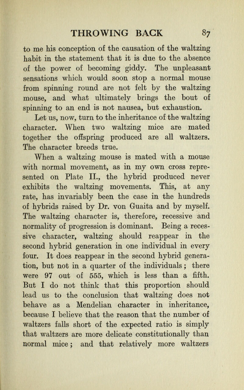 THROWING BACK 87 to me his conception of the causation of the waltzing habit in the statement that it is due to the absence of the power of becoming giddy. The unpleasant sensations which would soon stop a normal mouse from spinning round are not felt by the waltzing mouse, and what ultimately brings the bout of spinning to an end is not nausea, but exhaustion. Let us, now, turn to the inheritance of the waltzing character. When two waltzing mice are mated together the offspring produced are all waltzers. The character breeds true. When a waltzing mouse is mated with a mouse with normal movement, as in my own cross repre¬ sented on Plate II., the hybrid produced never exhibits the waltzing movements. This, at any rate, has invariably been the case in the hundreds of hybrids raised by Dr. von Guaita and by myself. The waltzing character is, therefore, recessive and normality of progression is dominant. Being a reces¬ sive character, waltzing should reappear in the second hybrid generation in one individual in every four. It does reappear in the second hybrid genera¬ tion, but not in a quarter of the individuals ; there were 97 out of 555, which is less than a fifth. But I do not think that this proportion should lead us to the conclusion that waltzing does not behave as a Mendelian character in inheritance, because I believe that the reason that the number of waltzers falls short of the expected ratio is simply that waltzers are more delicate constitutionally than normal mice ; and that relatively more waltzers