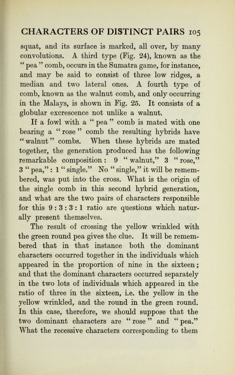 CHARACTERS OF DISTINCT PAIRS 105 squat, and its surface is marked, all over, by many convolutions. A third type (Fig. 24), known as the pea comb, occurs in the Sumatra game, for instance, and may be said to consist of three low ridges, a median and two lateral ones. A fourth type of comb, known as the walnut comb, and only occurring in the Malays, is shown in Fig. 25. It consists of a globular excrescence not unlike a walnut. If a fowl with a pea comb is mated with one bearing a rose comb the resulting hybrids have walnut combs. When these hybrids are mated together, the generation produced has the following remarkable composition : 9 walnut, 3 rose, 3 pea, : 1 single. No single, it will be remem¬ bered, was put into the cross. What is the origin of the single comb in this second hybrid generation, and what are the two pairs of characters responsible for this 9:3:3:1 ratio are questions which natur¬ ally present themselves. The result of crossing the yellow wrinkled with the green round pea gives the clue. It will be remem¬ bered that in that instance both the dominant characters occurred together in the individuals which appeared in the proportion of nine in the sixteen; and that the dominant characters occurred separately in the two lots of individuals which appeared in the ratio of three in the sixteen, i.e. the yellow in the yellow wrinkled, and the round in the green round. In this case, therefore, we should suppose that the two dominant characters are rose and pea. What the recessive characters corresponding to them