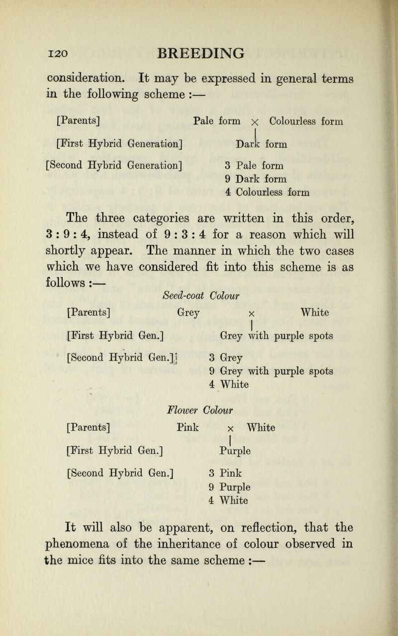 120 BREEDING consideration. It may be expressed in general terms in the following scheme :— The three categories are written in this order, 3:9:4, instead of 9:3:4 for a reason which will shortly appear. The manner in which the two cases w^hich we have considered fit into this scheme is as follows :— [Parents] [First Hybrid Generation] [Second Hybrid Generation] Pale form x Colourless form 3 Pale form 9 Dark form 4 Colourless form Dark form [Parents] ' [First Hybrid Gen.]  [Second Hybrid Gen.],j Seed-coat Colour Grey X White Grey with purple spots 3 Grey 9 Grey with purple spots 4 White [Parents] [First Hybrid Gen.] [Second Hybrid Gen.] Flower Colour Pink X White Purple 3 Pink 9 Purple 4 White It will also be apparent, on reñection, that the phenomena of the inheritance of colour observed in the mice fits into the same scheme :—