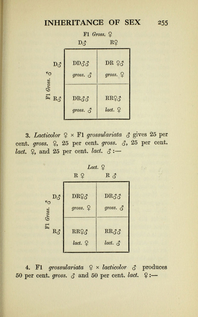 INHERITANCE OF SEX 255 CO CO о Fl Gross. Ç Щ R? 3. Lacticolor $ X Fl grossuíariata ¿ gives 25 per cent, gross. $, 25 per cent, gross. 25 per cent. lact. Ç, and 25 per cent. lact. S :— Lact. Ç ' y; R $ R во Со О R(? 4. Fl grossuíariata $ x lacticolor ^ produces 50 per cent, gross. ^ and 50 per cent. lact. $ :—