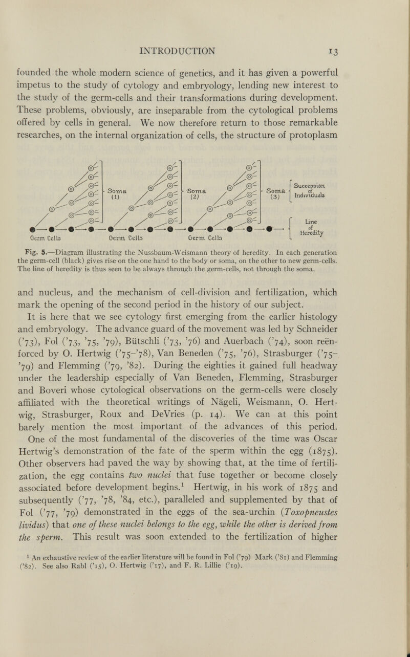 INTRODUCTION 13 founded the whole modern science of genetics, and it has given a powerful impetus to the study of cytology and embryology, lending new interest to the study of the germ-cells and their transformations during development. These problems, obviously, are inseparable from the cytological problems offered by cells in general. We now therefore return to those remarkable researches, on the internal organization of cells, the structure of protoplasm Fig. 5.—Diagram illustrating the Nussbaum-Weismann theory of heredity. In each generation the germ-cell (black) gives rise on the one hand to the body or soma, on the other to new germ-cells. The line of heredity is thus seen to be always through the germ-cells, not through the soma. and nucleus, and the mechanism of cell-division and fertilization, which mark the opening of the second period in the history of our subject. It is here that we see cytology first emerging from the earlier histology and embryology. The advance guard of the movement was led by Schneider ('73), Fol ('73, '75, '79), Bütschli ('73, '76) and Auerbach ('74), soon reën- forced by O. Hertwig ('7S-'78), Van Beneden ('75, '76), Strasburger ('75- '79) and Flemming ('79, '82). During the eighties it gained full headway under the leadership especially of Van Beneden, Flemming, Strasburger and Boveri whose cytological observations on the germ-cells were closely affiliated with the theoretical writings of Nägeli, Weismann, О. Hert¬ wig, Strasburger, Roux and DeVries (p. 14). We can at this point barely mention the most important of the advances of this period. One of the most fundamental of the discoveries of the time was Oscar Hertwig's demonstration of the fate of the sperm within the egg (1875). Other observers had paved the way by showing that, at the time of fertili¬ zation, the egg contains two nuclei that fuse together or become closely associated before development begins.^ Hertwig, in his work of 1875 and subsequently ('77, '78, '84, etc.), paralleled and supplemented by that of Fol ('77, '79) demonstrated in the eggs of the sea-urchin {Toxopneustes lividus) that one of these nuclei belongs to the egg, while the other is derived from the sperm. This result was soon extended to the fertilization of higher 1 An exhaustive review of the earlier literature will be found in Fol ('79) Mark ('Si) and Flemming ('82). See also Rabl ('15), O. Hertwig ('17), and F. R. Lillie ('19).