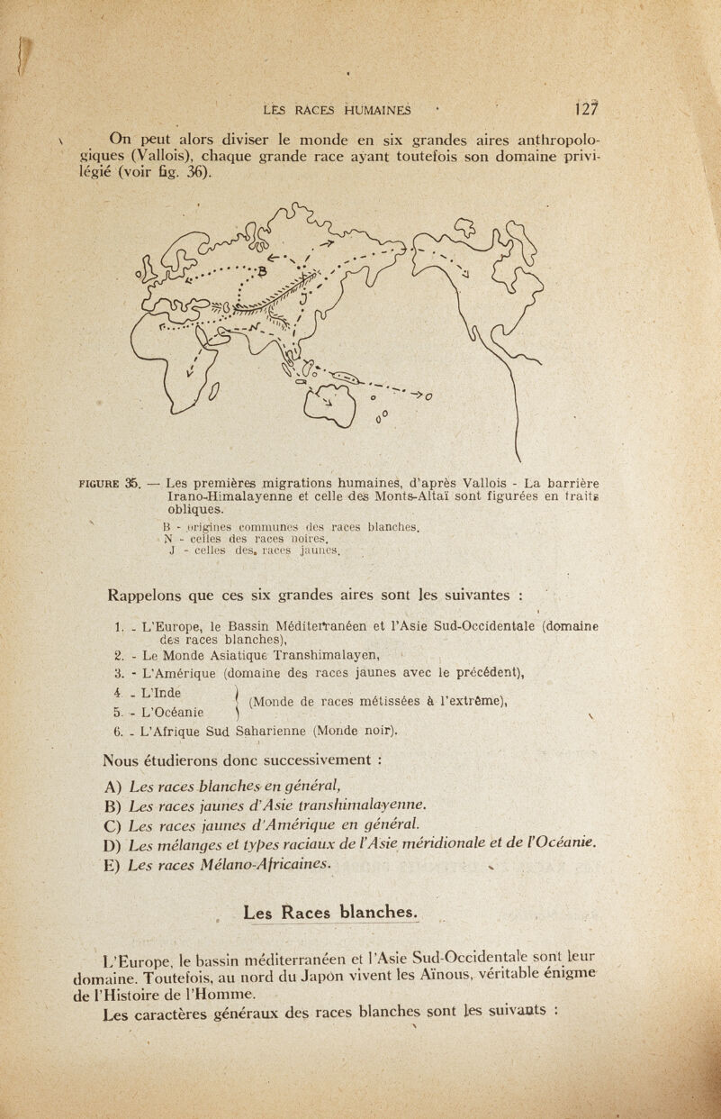 LÉS RACES HUMAINES • 12^ On peut alors diviser le monde en six grandes aires anthropolo- sjques (Vallois), chaque grande race ayant toutefois son domaine privi¬ légié (voir fig. 36). В - origines communes des races blanches. N - celles des races noires. J - celles des. races jaunes. Rappelons que ces six grandes aires sont les suivantes : I 1. - L'Europe, le Bassin MéditeiYanéen et l'Asie Sud-Occidentale (domaine des races blanches), 2. - Le Monde Asiatique Transhimalayen, 3. - L'Amérique (domaine des races jaunes avec le précédent), 4r. . L Inde I ,]yj ^ races métissées à l'extrême), 5. - L'Océanie j ^ 6. - L'Afrique Sud Saharienne (Monde noir). Nous étudierons donc successivement : A) Les races blanches en général, , B) Les races jaunes d'Asie transhimalayenne. C) Les races jaunes d'Amérique en général. D) Les mélanges et tyf^es raciaux de l'Asie méridionale et de l'Oceanie. E) Les races Mélano-Africaines. ч Les Races blanches. , L'Europe, le bassin méditerranéen et l'Asie Sud-Occidentale sont leur domaine. Toutefois, au nord du Japon vivent les Aïnous, véritable énigme de l'Histoire de l'Homme. Les caractères généraux des races blanches sont les suivants :