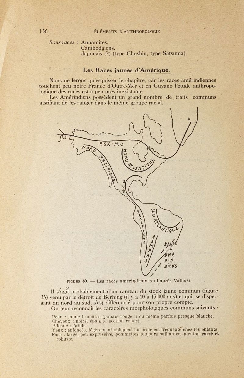 136 éléments d'anthropologie Sous-races : Annamites. Cambodgiens. Japonais (?) (type Choshin, type Satsuma). Les Races jaunes d'Amérique, Nous ne ferons qu'esquisser le chapitre, car les races amérindiennes touchent peu notre France d'Outre-Mer et en Guyane l'étude anthropo¬ logique des races est à peu près inexistante. i^es Amérindiens possèdent un grand nombre de traits comrhuns justifiant de tes ranger dans le même groupe racial. ^o, FIGURE 40. — Les races amérindiennes (d'après Vallois). Il s'agit probablement d'un rameau du stock jaune commun (figure 33) venu par le détroit de Berhing (il y a 10 à 15.000 ans) et qui, se disper¬ sant du nord au sud, s'est différencié poui son propre compte. On leur reconnaît les caractères morphologiques communs suivants : Peau : jaune brunâtre (jamais rouge !) ou même parfois presque blanche. Cheveux : noirs, épais (à section ronde).. Pilositá : faible. Yeux : enfoncés, légèrement obliques: La bride est fréquente chez les enfants. Face : large, peu expr'essive, pommettes toujours saillantes, menton carré et robuste,
