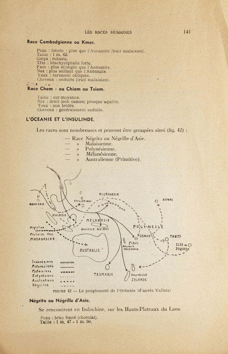 LES RACES HUMAINES - Ì4l Race Cambodgienne OU Kmer. Peau : foncée : plus que l'Annamite (trait malaisien). ' ^  Taille : 1 m. 63. - y; - Corps ; robuste. ' ' Tête : brachycéphalie forte. Face : plus allongée que l'Annamite. - Nez ; plus saillant que l'Annamite. .  \eux : rarement obliques. Cheveux : ondulés (trait malaisien). • . , ■ Race Cham - ou Chiam ou Tsiam. Taille : sur-moyenne. Nez : droit (non camus) presque aq.uiiin. ' - Yeux ; non bridés. Ciieveux : généralement ondulés. L'OCEANIE ET L'INSULINDE. Les races sont nombreuses et peuvent être groupées ainsi (fig. 42) : — Race Negrito ou Négrille d'Asie. — » Malaisienne. :— » Polynésienne, ' — » Mélanésienne. — » Australienne (Primitive). Négrito ou Négrille d'Asie. Se rencontrent en Indochine, sur les Hauts-Plateaux du Laos- Peau : binin foncé (chocolat). Taille ; 1 m. 47 - 1 m. 50,
