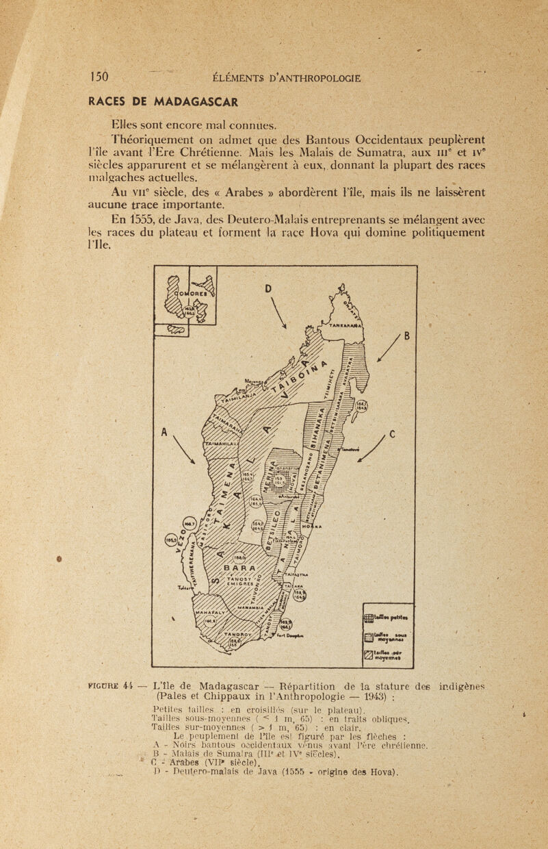 15Ó ' ÉLÉMENTS D'ANTHROPOLOGIE RACES DE MADAGASCAR Elles sont encore mal connues. Théoriquement on admet que des Bantous Occidentaux peuplèrent l'île avant l'Ere Chrétienne. Mais les Malais de Sumatra, aux пГ et iv siècles apparurent et se mélangèrent à eux, donnant la plupart des races malgaches actuelles. Au VII® siècle, des « Arabes » abordèrent l'île, mais ils ne laissèrent aucune trace importante. En 1555, de Java, des Deutero-Malais entreprenants se mélangent avec les races du plateau et forment la race Hova qui domine politiquement l'Ile. V':. > ' --.-v ',.1'■' - : ■■ ■. ■■ . \ V ; ■'л- ^ ■ 'i' ' ~ ' у: . •• / . 'J ' ■ ;ч;< - í - V . . ' . ¡-Í.-  . ' .y:<r ■ ■ ' ■ ,V í .••j FICDRE 44 L'île de Madagascar — Répartition de la stature dee indigènes (Pales et Chippaux in l'Anthropologie — 1943) : Petites lailles ; en croisillés (sur le plateau). Tailles sous-moyeiines ( < 1 m, 65) : en traits obliques. Taii-les sur-moyennes ( > :) m, 65) : en clair. Le .peuplement, de l'île est figuré par les flèches : ■ ' i, A - Noirs bantous oacidentaux venus avant Père chrétienne. .■ ,, ï' В - Malais de Sumatra (IIP £t IV® siècles). ' _ , ■-' С - Arabes (VII* Biècle). ' v J) - neiifero-malais de Java (1555 - origine des Hova). ~ ; h . -y