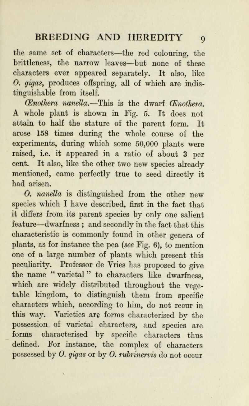 BREEDING AND HEREDITY 9 the same set of characters—the red colouring, the brittleness, the narrow leaves—but none of these characters ever appeared separately. It also, like 0. gigaSy produces offspring, all of which are indis¬ tinguishable from itself. Œnothera nanella.—This is the dwarf Œnothera, A whole plant is shown in Fig. 5. It does not attain to half the stature of the parent form. It arose 158 times during the whole course of the experiments, during which some 50,000 plants were raised, i.e. it appeared in a ratio of about 3 per cent. It also, like the other two new species already- mentioned, came perfectly true to seed directly it had arisen. 0, nanella is distinguished from the other new species which I have described, first in the fact that it differs from its parent species by only one salient feature—dwarfness ; and secondly in the fact that this characteristic is commonly found in other genera of plants, as for instance the pea {see Fig. 6), to mention one of a large number of plants which present this peculiarity. Professor de Vries has proposed to give the name  varietal  to characters like dwarfness, which are widely distributed throughout the vege¬ table kingdom, to distinguish them from specific characters which, according to him, do not recur in this way. Varieties are forms characterised by the possession of varietal characters, and species are forms characterised by specific characters thus defined. For instance, the complex of characters possessed by 0. gigas or by 0. rubrinervis do not occur