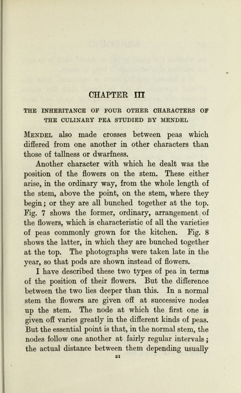 CHAPTER ra the inheritance of four other characters of the culinary pea studied by mendel Mendel also made crosses between peas which differed from one another in other characters than those of tallness or dwarfness. Another character with which he dealt was the position of the flowers on the stem. These either arise, in the ordinary way, from the whole length of the stem, above the point, on the stem, where they begin; or they are all bunched together at the top. Fig. 7 shows the former, ordinary, arrangement of the flowers, which is characteristic of all the varieties of peas commonly grown for the kitchen. Fig. 8 shows the latter, in which they are bunched together at the top. The photographs were taken late in the year, so that pods are shown instead of flowers. I have described these two types of pea in terms of the position of their flowers. But the difference between the two lies deeper than this. In a normal stem the flowers are given off at successive nodes up the stem. The node at which the first one is given off varies greatly in the different kinds of peas. But the essential point is that, in the normal stem, the nodes follow one another at fairly regular intervals ; the actual distance between them depending usually 21