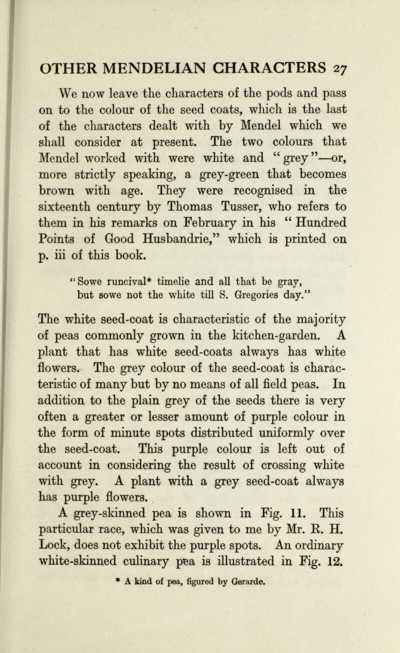 OTHER MENDELIAN CHARACTERS 27 We now leave the characters of the pods and pass on to the colour of the seed coats, which is the last of the characters dealt with by Mendel which we shall consider at present. The two colours that Mendel worked with were white and grey —or, more strictly speaking, a grey-green that becomes brown with age. They were recognised in the sixteenth century by Thomas Tusser, who refers to them in his remarks on February in his  Hundred Points of Good Husbandrie, which is printed on p. iii of this book. *'Sowe runcival* timelie and all that be gray, but so we not the white till S. Gregories day. The white seed-coat is characteristic of the majority of peas commonly grown in the kitchen-garden. A plant that has white seed-coats always has white flowers. The grey colour of the seed-coat is charac¬ teristic of many but by no means of all field peas. In addition to the plain grey of the seeds there is very often a greater or lesser amount of purple colour in the form of minute spots distributed uniformly over the seed-coat. This purple colour is left out of account in considering the result of crossing white with grey. A plant with a grey seed-coat always has purple flowers. A grey-skinned pea is shown in Fig. 11. This particular race, which was given to me by Mr. R. H. Lock, does not exhibit the purple spots. An ordinary white-skinned culinary рва is illustrated in Fig. 12. ♦ A kind of pea, figured by Gerarde.