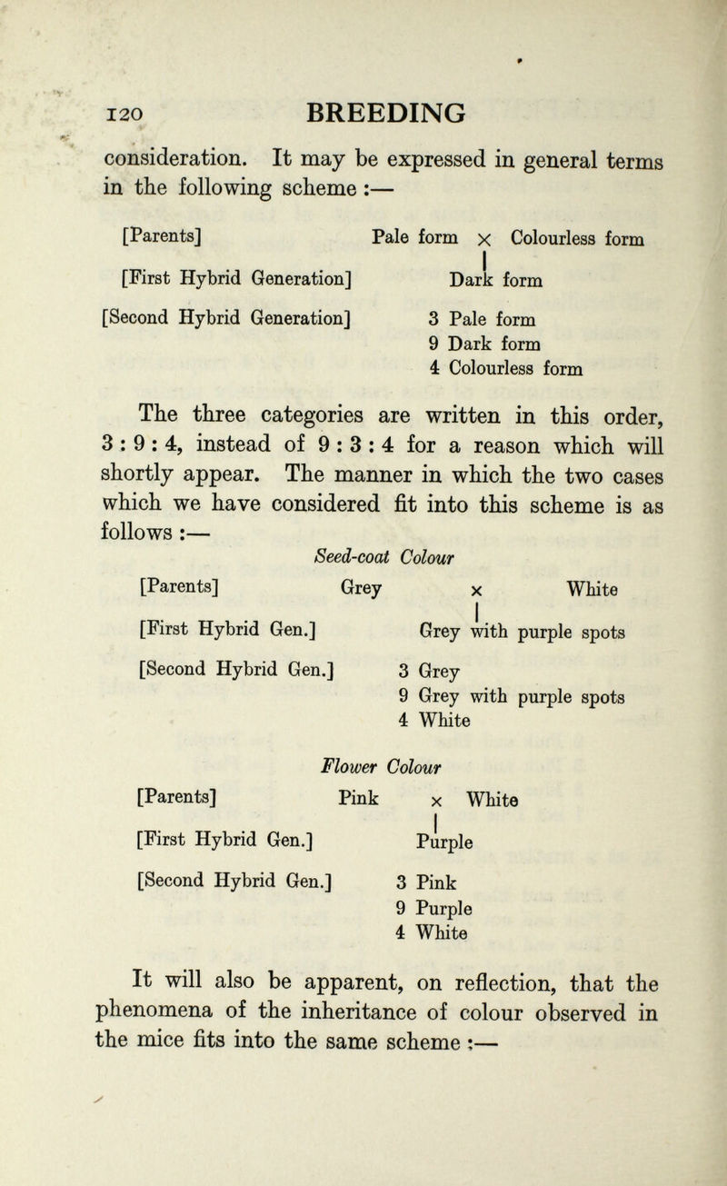 120 BREEDING consideration. It may be expressed in general terms in the following scheme :— [Parents] Pale form x Colourless form [First Hybrid Generation] Dark form [Second Hybrid Generation] 3 Pale form 9 Dark form 4 Colourless form The three categories are written in this order, 3:9:4, instead of 9:3:4 for a reason which will shortly appear. The manner in which the two cases which we have considered fit into this scheme is as follows :— Seed-coat Colour [Parents] Grey x White [First Hybrid Gen.] Grey with purple spots [Second Hybrid Gen.] 3 Grey 9 Grey with purple spots 4 White Flower Colour [Parents] Pink x White [First Hybrid Gen.] Purple [Second Hybrid Gen.] 3 Pink 9 Purple 4 White It will also be apparent, on reflection, that the phenomena of the inheritance of colour observed in the mice fits into the same scheme :— У