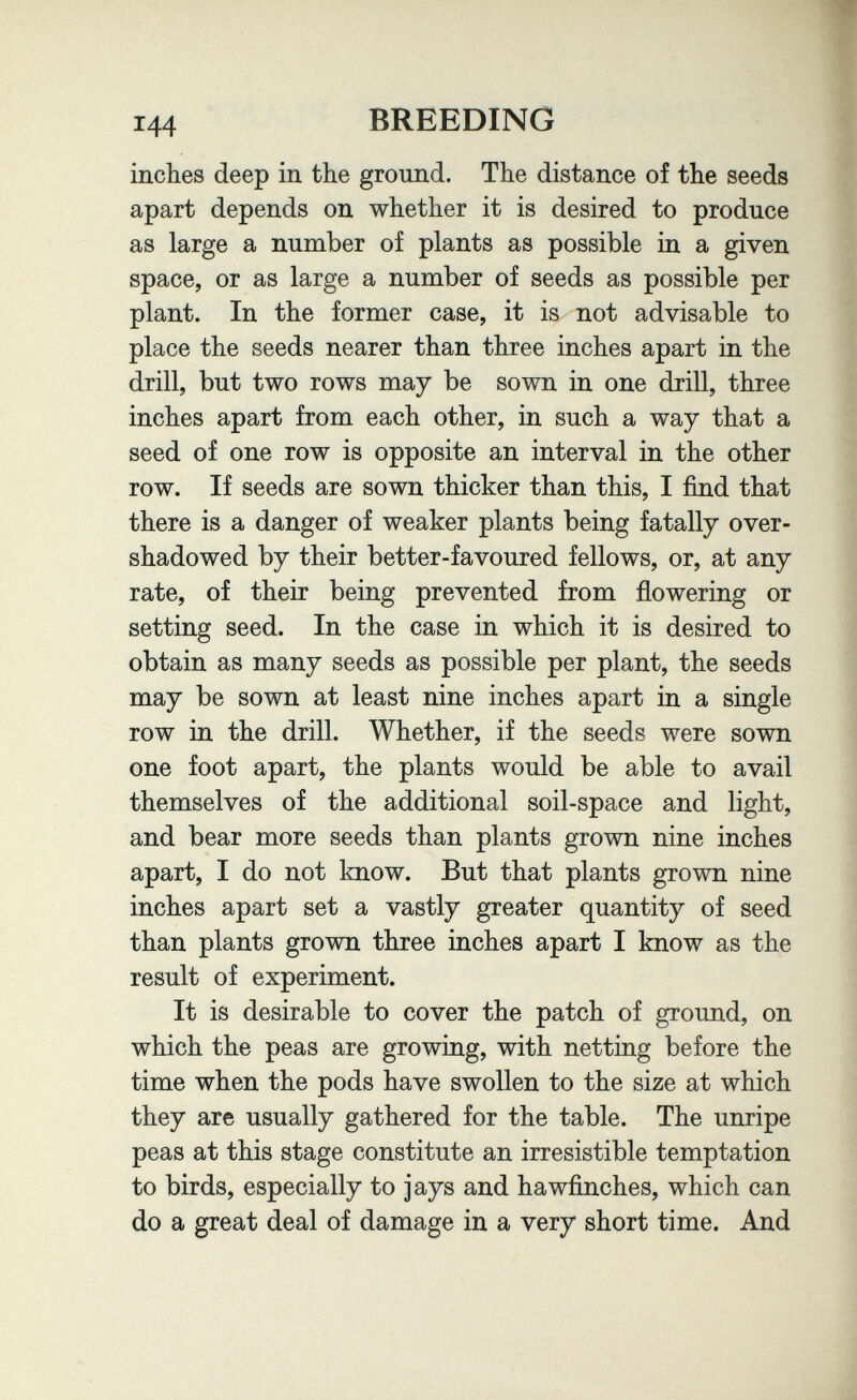 144 BREEDING inches deep in the ground. The distance of the seeds apart depends on whether it is desired to produce as large a number of plants as possible in a given space, or as large a number of seeds as possible per plant. In the former case, it is not advisable to place the seeds nearer than three inches apart in the drill, but two rows may be sown in one drill, three inches apart from each other, in such a way that a seed of one row is opposite an interval in the other row. If seeds are sown thicker than this, I find that there is a danger of weaker plants being fatally over¬ shadowed by their better-favoured fellows, or, at any rate, of their being prevented from flowering or setting seed. In the case in which it is desired to obtain as many seeds as possible per plant, the seeds may be sown at least nine inches apart in a single row in the drill. Whether, if the seeds were sown one foot apart, the plants would be able to avail themselves of the additional soil-space and light, and bear more seeds than plants grown nine inches apart, I do not know. But that plants grown nine inches apart set a vastly greater quantity of seed than plants grown three inches apart I know as the result of experiment. It is desirable to cover the patch of ground, on which the peas are growing, with netting before the time when the pods have swollen to the size at which they are usually gathered for the table. The unripe peas at this stage constitute an irresistible temptation to birds, especially to jays and hawfinches, which can do a great deal of damage in a very short time. And