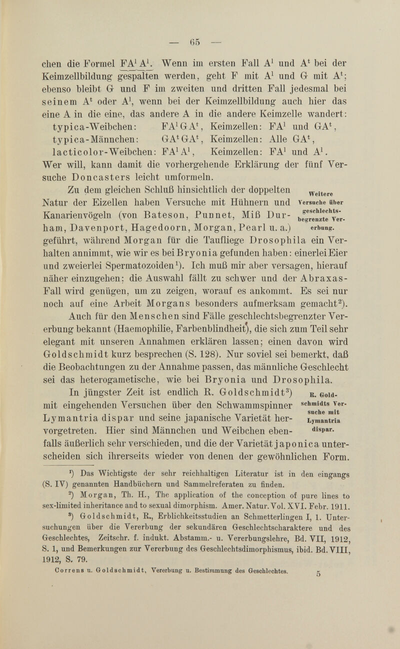 — G5 — chen die Formel FA^ Wenn im ersten Fall A^ und A*^ bei der Keimzellbildnng g-espalten werden, geht F mit A^ und G- mit A^; ebenso bleibt G- und F im zweiten und dritten Fall jedesmal bei seinem A^ oder A\ wenn bei der Keimzellbildung auch hier das eine A in die eine, das andere A in die andere Keimzelle wandert: typica-Weibchen: FA^GA^ Keimzellen: FA^ und GA^, typica-Männchen: GA^GA\ Keimzellen: Alle GA^, lacticolor-Weibchen: FA^A^, Keimzellen: FA^ und A^. Wer will, kann damit die vorhergehende Erklärung der fünf Ver¬ suche Doncasters leicht umform ein. Zu dem gleichen Schluß hinsichtlich der doppelten Weitere Natur der Eizellen haben Versuche mit Hühnern und versuche über Kanarienvögeln (von Bateson, Punnet, Miß Dur- begrenzteTer- ham, Davenport, Hagedoorn, Morgan, Pearl u. a.) erbnng. geführt, während Morgan für die Taufliege Drosophila ein Ver¬ halten annimmt, wie wir es beiBryonia gefunden haben: einerleiEier und zweierlei Spermatozoiden^). Ich muß mir aber versagen, hierauf näher einzugehen; die Auswahl fällt zu schwer und der Abraxas- Fall wird genügen, um zu zeigen, worauf es ankommt. Es sei nur noch auf eine Arbeit Morgans besonders aufmerksam gemacht^). Auch für den Menschen sind Fälle geschlechtsbegrenzter Ver¬ erbung bekannt (Haemophilie, Farbenblindheit^, die sich zum Teil sehr elegant mit unseren Annahmen erklären lassen; einen davon wird Goldschmidt kurz besprechen (S. 128). Nur soviel sei bemerkt, daß die Beobachtungen zu der Annahme passen, das männliche Geschlecht sei das heterogametische, wie bei Bryonia und Drosophila. In jüngster Zeit ist endlich R. Goldschmidtr. воы- mit eingehenden Versuchen über den Schwamm spinner Lymantria dispar und seine japanische Varietät her- bymantria vorgetreten. Hier sind Männchen und Weibchen eben- dispar, falls äußerlich sehr verschieden, und die der Varietät japónica unter¬ scheiden sich ihrerseits wieder von denen der gewöhnlichen Form. ') Das Wichtigste der sehr reichhaltigen Literatur ist in den eingangs (S. IV) genannten Handbüchern und Sammelreferaten zu finden. Morgan, Th. H., The application of the conception of pure lines to sex-limited inheritance and to sexual dimorphism. Amer. Natur. Vol. XVI. Febr. 1911. ®) Goldschmidt, R., Erblichkeitsstudien an Schmetterlingen I, 1. Unter¬ suchungen über die Vererbung der sekundären Geschlechtscharaktere und des Geschlechtes, Zeitschr. f. indukt. Abstamm.- u. Vererbungslehre, Bd. VII, 1912, S. 1, und Bemerkungen zur Vererbung des Geschlechtsdimorphismus, ibid. Bd. VIII, 1912, S. 79. Corrensu. Goldschmidt, Vererbung u. Bestimmung des Gresohlechtes. к