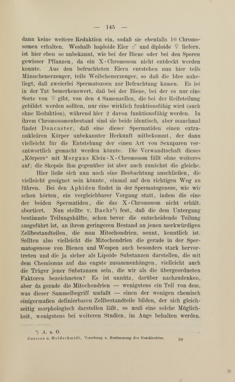 dann keine weitere Reduktion ein, sodaß sie ebenfalls 10 Chromo¬ somen erhalten. Weshalb haploide Eier cT und diploide 9 liefern, ist hier eben so unbekannt, wie bei der Biene oder bei den Sporen gewisser Pflanzen, da ein X-Chromosom nicht entdeckt werden konnte. Aus den befruchteten Eiern entstehen nun hier teils Männchenerzeuger, teils Weibchenerzeuger, so daß die Idee nahe¬ liegt, daß zweierlei Spermatozoen zur Befruchtung kamen. Es ist in der Tat bemerkenswert, daß bei der Biene, bei der es nur eine Sorte von 9 gibt, von den 4 Samenzellen, die bei der Reifeteilung gebildet werden sollten, nur eine wirklich funktionsfähig wird (auch ohne Reduktion), während hier 2 davon funktionsfähig werden. In ihrem Chromosomenbestand sind sie beide identisch, aber manchmal findet Doncaster, daß eine dieser Spermatiden einen extra- nukleären Körper unbekannter Herkunft mitbekommt, der dann vielleicht für die Entstehung der einen Art von Sexuparen ver¬ antwortlich gemacht werden könnte. Die Verwandtschaft dieses .,Körpers mit Morgans Klein - X - Chromosom fällt ohne weiteres auf; die Skepsis üim gegenüber ist aber auch zunächst die gleiche. Hier ließe sich nun noch eine Beobachtung anschließen, die vielleicht geeignet sein könnte, einmal auf den richtigen Weg zu führen. Bei den A phi den findet in der Spermatogenese, wie wir schon hörten, ein vergleichbarer Vorgang statt, indem die eine der beiden Spermatiden, die das X-Chromosom nicht erhält, abortiert. Nun stellte v. Baehr^) fest, daß die dem Untergang bestimmte Teilungshälfte, schon bevor die entscheidende Teilung ausgeführt ist, an ihrem geringeren Bestand an jenen merkwürdigen Zellbestandteilen, die man Mitochondrien, nennt, kenntlich ist. Sollten also vielleicht die Mitochondrien die gerade in der Sper¬ matogenese von Bienen und Wespen auch besonders stark hervor¬ treten und die ja sicher als Lipoide Substanzen darstellen, die mit dem Chemismus auf das engste zusammenhängen, vielleicht auch die Träger jener Substanzen sein, die wir als die übergeordneten Faktoren bezeichneten? Es ist unnütz, darüber nachzudenken, aber da gerade die Mitochondrien — wenigstens ein Teil von dem, was dieser Sammelbegriff umfaßt — einen der wenigen chemisch einigermaßen definierbaren Zellbestandteile bilden, der sich gleich¬ zeitig morphologisch darstellen läßt, so muß eine solche Möglich¬ keit, wenigstens bei weiteren Studien, im Auge behalten werden. ') A. a. 0. Correns u. Q-oldschmidt, Vererbung u. Bestimmung des Geschlechtes.