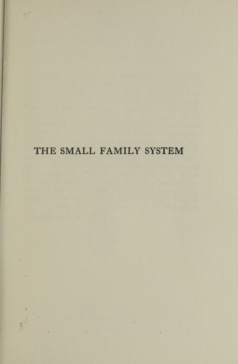 THE SMALL FAMILY SYSTEM