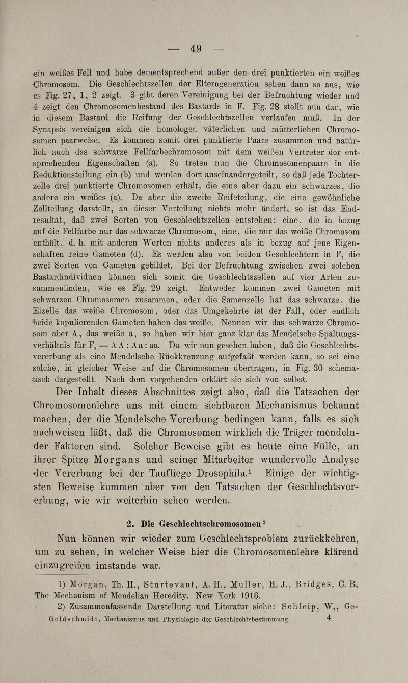 — 49 «in weißes Fell und habe dementsprecbend außer den drei punktierten ein weißes -Chromosom. Die Geschlechtszellen der Elterngeneration sehen dann so aus, wie es Fig. 27, 1, 2 zeigt. 3 gibt deren Vereinigung bei der Befruchtung wieder und 4 zeigt den Chromosomenbestand des Bastards in F. Fig. 28 stellt nun dar, wie in diesem Bastard die Reifung der Geschlechtszellen verlaufen muß. In der Synapsis vereinigen sich die homologen väterlichen und mütterlichen Chromo¬ somen paarweise. Es tommen somit drei punktierte Paare zusammen und natür¬ lich auch das schwarze Fellfarbechromosom mit dem weißen Vertreter der ent¬ sprechenden Eigenschaften (a). So treten nun die Chromosomenpaare in die Reduktiousteilung ein (b) und werden dort auseinandergeteilt, so daß jede Tochter¬ zelle drei punktierte Chromosomen erhält, die eine aber dazu ein schwarzes, die andere ein weißes (a). Da aber die zweite Eeifeteilung, di& eine gewöhnliche Zellteilung darstellt, an dieser Verteilung nichts mehr ändert, so ist das End¬ resultat, daß zwei Sorten von Geschlechtszellen entstehen: eine, die in bezug auf die Fellfarbe nur das schwarze Chromosom, eine, die nur das weiße Chromosom ■enthält, d. h. mit anderen Worten nichts anderes als in bezug auf jene Eigen¬ schaften reine Gameten (d). Es Averden also von beiden Geschlechtern in Fj^ die zwei Sorten von Gameten gebildet. Bei der Befruchtung zwischen zwei solchen Bastardindividuen können sich somit die Geschlechtszellen auf vier Arten zu¬ sammenfinden, wie es Fig. 29 zeigt. Entweder kommen zwei Gameten mit -schwarzen Chromosomen zusammen, oder die Samenzelle hat das schwarze, die Eizelle das weiße Chromosom, oder das Umgekehrte ist der Fall, oder endlich, beide kopulierenden Gameten haben das weiße. Nennen wir das schwarze Chromo¬ som aber A, das weiße a, so haben wir hier ganz kJar das Mendelsche Spaltungs¬ verhältnis für Fg — A A : Aa ; aa. Da wir nun gesehen haben, daß die Geschlechts¬ vererbung als eine Mendelsche Rückkreuzung aufgefaßt werden kann, so sei eine solche, in gleicher Weise auf die Chromosomen übertragen, in Fig. 30 schema- Ttisch dargestellt. Nach dem vorgehenden erklärt sie sich von selbst. Der Inhalt dieses Abschnittes zeigt also, daß die Tatsachen der Chromosomenlehre uns mit einem sichtbaren Mechanismus bekannt machen, der die Mendelsche Vererbung bedingen kann, falls es sich nachweisen läßt, daß die Chromosomen wirklich die Träger mendeln- der Faktoren sind. Solcher Beweise gibt es heute eine Fülle, an ihrer Spitze Morgans und seiner Mitarbeiter wundervolle Analyse ■der Vererbung bei der Taufliege Drosophila.^ Einige der wichtig¬ sten Beweise kommen aber von den Tatsachen der Geschlechtsver¬ erbung, wie wir weiterhin sehen werden. 2. Die Creschleehtsehromosomen ^ Nun können wir wieder zum Geschlechtsproblem zurückkehren, um zu sehen, in welcher Weise hier die Chromosomenlehre klärend «inzugreifen imstande war. 1) Morgan, Th. H., Sturtevant, A. H., Muller, H. J., Bridges, C.B. ^he Mechanism of Mendelian Heredity. New York 1916. 2) Zusammenfassende Darstellung und Literatur siehe: Schleip, W., Ge- Goldschmidt, Mechanismus und Physiologie der Geschlechtsbestimmung 4