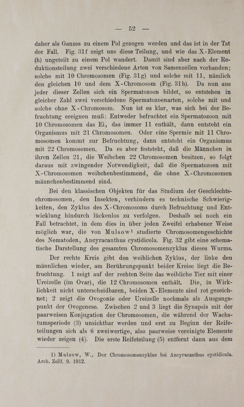 — 52 — daher als Ganzes zu einem Pol gezogen werden und das ist in der Tat der Fall. Fig. 31 f zeigt uns diese Teilung, und wie das X-Element (h) ungeteilt zu einem Pol wandert. Damit sind aber nach der Re¬ duktionsteilung zwei verschiedene Arten von Samenzellen vorhanden; solche mit 10 Chromosomen (Fig. 31g) und solche mit 11, nämlich den gleichen 10 und dem X-Chromosom (Fig. 31h). Da nun aus jeder dieser Zellen sich ein Spermatozoon bildet, so entstehen in gleicher Zahl zwei verschiedene Spermatozoenarten, solche mit und solche ohne X-Chromosom. Nun ist es klar, was sich bei der Be¬ fruchtung ereignen muß: Entweder befruchtet ein Spermatozoon mit 10 Chromosomen das Ei, das immer 11 enthält, dann entsteht ein Organismus mit 21 Chromosomen. Oder eine Spermie mit 11 Chro¬ mosomen kommt zur Befruchtung, dann entsteht ein Organismus mit 22 Chromosomen. Da es aber feststeht, daß die Männchen in ihren Zellen 21, die Weibchen 22 Chromosomen besitzen, so folgt daraus mit zwingender Notwendigkeit, daß die Spermatozoen mit X-Chromosomen weibchenbestimmend, die ohne X-Chromosomen männchenbestimmend sind. Bei den klassischen Objekten für das Studium der Geschlechts¬ chromosomen, den Insekten, verhindern es technische Schwierig¬ keiten, den Zyklus des X-Chromosoms durch Befruchtung und Ent¬ wicklung hindurch lückenlos zu verfolgen. Deshalb sei noch ein Fall betrachtet, in dem dies in über jeden Zweifel erhabener Weise möglich war, die von Mulsow^ studierte Chromosomengeschichte des Nematoden, Ancyracanthus cystidicola. Fig. 32 gibt eine schema¬ tische Darstellung des gesamten Chromosomenzyklus dieses Wurms. Der rechte Kreis gibt den weiblichen Zyklus, der linke den männlichen wieder, am Berührungspunkt beider Kreise liegt die Be¬ fruchtung. 1 zeigt auf der rechten Seite das weibliche Tier mit einer Ureizelle (im Ovar), die 12 Chromosomen enthält. Die, in Wirk¬ lichkeit nicht unterscheidbaren, beiden X-Elemente sind rot gezeich¬ net; 2 zeigt die Ovogonie oder Ureizelle nochmals als Ausgangs¬ punkt der Ovogenese. Zwischen 2 und 3 liegt die Synapsis mit der paarweisen Konjugation der Chromosomen, die während der Wachs¬ tumsperiode (3) unsichtbar werden und erst zu Beginn der Reife¬ teilungen sich als 6 zweiwertige, also paarweise vereinigte Elemente wieder zeigen (4). Die erste Reifeteilung (5) entfernt dann aus dem 1) Mulsow, W., Der Chromosomenzyklus bei Ancyracanthus cystidicola. Arch. Zellf. 9. 1912.