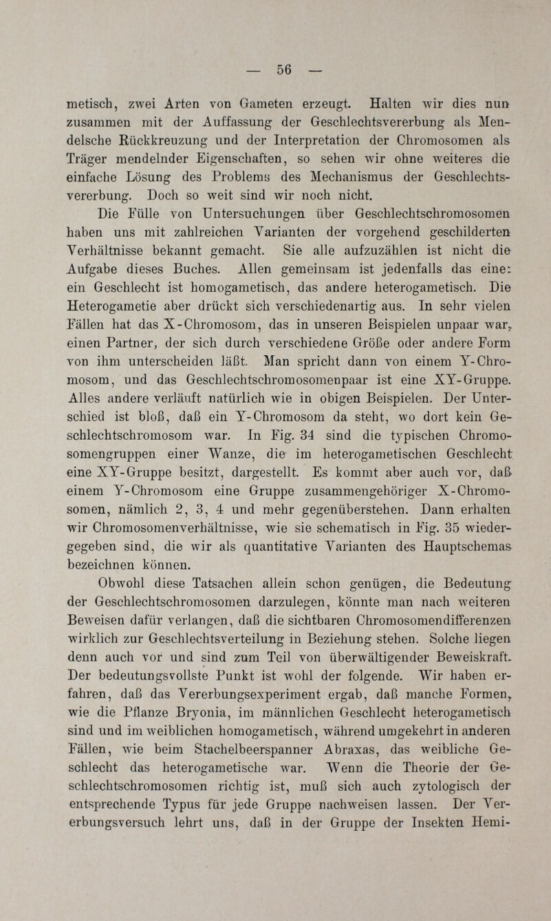 — 56 — metisch, zwei Arten von Gameten erzeugt. Halten wir dies nun zusammen mit der Auffassung der Geschiechtsvererbung als Men- delsche Rückkreuzung und der Interpretation der Chromosomen al& Träger mendelnder Eigenschaften, so sehen wir ohne weiteres die einfache Lösung des Problems des Mechanismus der Geschlechts¬ vererbung. Doch so weit sind wir noch nicht. Die Fülle von Untersuchungen über Geschlechtschromosomen haben uns mit zahlreichen Varianten der vorgehend geschilderten Verhältnisse bekannt gemacht. Sie alle aufzuzählen ist nicht die Aufgabe dieses Buches. Allen gemeinsam ist jedenfalls das eine: ein Geschlecht ist homogametisch, das andere heterogametisch. Die Heterogametie aber drückt sich verschiedenartig aus. In sehr vielen Fällen hat das X-Chromosom, das in unseren Beispielen unpaar war,, einen Partner, der sich durch verschiedene Größe oder andere Form von ihm unterscheiden läßt. Man spricht dann von einem Y-Chro¬ mosom, und das Geschlechtschromosomenpaar ist eine XY-Gruppe. Alles andere verläuft natürlich wie in obigen Beispielen. Der Unter¬ schied ist bloß, daß ein Y-Chromosom da steht, wo dort kein Ge¬ schlechtschromosom war. In Fig. 34 sind die typischen Chromo¬ somengruppen einer Wanze, die im heterogametischen Geschlecht eine XY-Gruppe besitzt, dargestellt Es kommt aber auch vor, daß einem Y-Chromosom eine Gruppe zusammengehöriger X-Chromo¬ somen, nämlich 2, 3, 4 und mehr gegenüberstehen. Dann erhalten wir Chromosomenverhältnisse, wie sie schematisch in Fig. 35 wieder¬ gegeben sind, die wir als quantitative Varianten des Hauptschemas- bezeichnen können. Obwohl diese Tatsachen allein schon genügen, die Bedeutung der Geschlechtschromosomen darzulegen, könnte man nach weiteren Beweisen dafür verlangen, daß die sichtbaren Chromosomendifferenzen wirklich zur Geschlechtsverteilung in Beziehung stehen. Solche liegen denn auch vor und sind zum Teil von überwältigender Beweiskraft. Der bedeutungsvollste Punkt ist wohl der folgende. Wir haben er¬ fahren, daß das Vererbungsexperiment ergab, daß manche Formen^ wie die Pflanze Bryonia, im männlichen Geschlecht heterogametisch sind und im weiblichen homogametisch, während umgekehrt in anderen Fällen, Avie beim Stachelbeerspanner Abraxas, das weibliche Ge¬ schlecht das heterogametische war. Wenn die Theorie der Ge¬ schlechtschromosomen richtig ist, muß sich auch zytologisch der entsprechende Typus für jede Gruppe nachweisen lassen. Der Ver¬ erbungsversuch lehrt uns, daß in der Gruppe der Insekten Hemi-