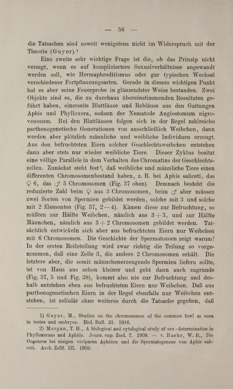 — 58 — die Tatsachen sind soweit wenigstens nicht im Widerspruch mit der Theorie (Guyer).^ Eine zweite sehr Avichtige Frage ist die, ob das Prinzip nicht versagt, wenn es auf kompliziertere Sexualverhältnisse angewandt werden soll, wie Hermaphroditisraus oder gar typischen AVechsel verschiedener Fortpflanzungsarten. Gerade in diesem wichtigen Punkt hat es aber seine Feuerprobe in glänzendster Weise bestanden. Zwei Objekte sind es, die zu durchaus übereinstimmenden Resultaten ge¬ führt haben, einerseits Blattläuse und Rebläuse aus den Gattungen Aphis und Phylloxera, sodann der Nematode Angiostomum nigro- venosum. Bei den Blattläusen folgen sich in der Regel zahlreiche parthenogenetische Generationen von ausschließlich Weibchen, dann werden aber plötzlich männliche und weibliche Individuen erzeugt. Aus den befruchteten Eiern solcher Geschlechtsweibchen entstehen dann aber stets nur wieder weibliche Tiere. Dieser Zyklus besitzt eine völlige Parallelein dem Verhalten des Chromatins der Geschlechts¬ zellen. Zunächst steht fest 2, daß weibliche und männliche Tiere einen differenten Chromosomenbestand haben, z. B. bei Aphis saliceti, das 9 6, das 5 Chromosomen (Fig. 37 oben). Demnach besteht die reduzierte Zahl beim Ç aus 3 Chromosomen, beim cf aber müssen zwei Sorten von Spermien gebildet werden, solche mit 3 und solche mit 2 Elementen (big. 37, 2 — 4). Kämen diese zur Befruchtung, so müßten zur Hälfte Weibchen, nämlich aus 3 + 3, und zur Hälfte Männchen, nämlich aus 3 + 2 Chromosomen gebildet werden. Tat¬ sächlich entwickeln sich aber aus befruchteten Eiern nur Weibchen mit 6 Chromosomen. Die Geschichte der Spermatozoen zeigt warum! In der ersten Reifeteilung wird zwar richtig die Teilung so vorge¬ nommen, daß eine Zelle 3, die andere 2 Chromosomen erhält. Die letztere aber, die somit männchenerzeugende Spermien liefern sollte, ist von Haus aus schon kleiner und geht dann auch zugrunde (Fig. 37, 5 und Fig. 38), kommt also nie zur Befruchtung und des¬ halb entstehen eben aus befruchteten Eiern nur Weibchen. Daß aus parthenogenetischen Eiern in der Regel ebenfalls nur Weibchen ent¬ stehen, ist zellulär ohne Aveiteres durch die Tatsache gegeben, daß 1) Guyer, M., Studies on the chromosomes of the common fowl as seen in testes and embryos. Biol. Bull. 31. 1916. 2) Morgan, T. H., A biological and cytological study of sex-determination in Phylloxerans and Aphids. Journ. exp. Zool. 7. 1909. — v. Baehr, ЛУ. В., Die Oogenese bei einigen viviparen Aphiden und die Spermatogenese von Aphis sali¬ ceti. Arch. Zellf. III. 1909.