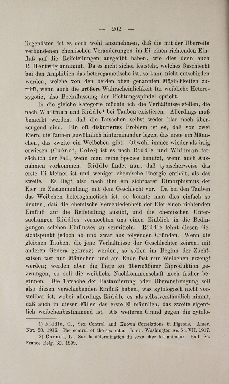 — 202 — liegendsten ist es doch wohl anzunehmen, daß die mit der Überreife verbundenen chemischen Veränderungen im Ei einen richtenden Ein¬ fluß auf die Reifeteilungen ausgeübt haben, wie dies denn auch R. Hertwig annimmt. Da es nicht sicher feststeht, welches Geschlecht bei den Amphibien das heterogametische ist, so kann nicht entschieden werden, welche von den beiden oben genannten Möglichkeiten zu¬ trifft, wenn auch die größere Wahrscheinlichkeit für weibliche Hetero- zygotie, also Beeinflussung der Richtungsspindel spricht. In die gleiche Kategorie möchte ich die Verhältnisse stellen, die nach Whitman und Riddle^ bei Tauben existieren. Allerdings muß bemerkt werden, daß die Tatsachen selbst weder klar noch über¬ zeugend sind. Ein oft diskutiertes Problem ist es, daß von zwei Eiern, die Tauben gewöhnlich hintereinander legen, das erste ein Männ¬ chen, das zweite ein Weibchen gibt. Obwohl immer wieder als irrig erwiesen (Cuénot, Cole^) ist es nach Riddle und Whitman tat¬ sächlich der Fall, wenn man reine Spezies benutzt, wenn auch Aus¬ nahmen vorkommen. Riddle findet nun, daß typischerweise das erste Ei kleiner ist und weniger chemische Energie enthält, als das zweite. Es liegt also nach ihm ein sichtbarer Dimorphismus der Eier im Zusammenhang mit dem Geschlecht vor. Da bei den Tauben das Weibchen heterogametisch ist, so könnte man dies einfach so deuten, daß die chemische Verschiedenheit der Eier einen richtenden Einfluß auf die Reifeteilung ausübt, und die chemischen Unter¬ suchungen Riddles vermöchten uns einen Einblick in die Bedin¬ gungen solchen Einflusses zu vermitteln. Riddle lehnt diesen Ge¬ sichtspunkt jedoch ab und zwar aus folgenden Gründen. Wenn die gleichen Tauben, die jene Verhältnisse der Geschlechter zeigen, mit anderen Genera gekreuzt werden, so sollen im Beginn der Zucht¬ saison fast nur Männchen und am Ende fast nur Weibchen erzeugt werden; werden aber die Tiere zu übermäßiger Eiproduktion ge¬ zwungen, so soll die weibliche Nachkommenschaft noch früher be¬ ginnen. Die Tatsache der Bastardierung oder Überanstrengung soll also diesen verschiebenden Einfluß haben, was zytologisch nicht vor¬ stellbar ist, wobei allerdings Riddle es als selbstverständlich nimmt, daß auch in diesen Fällen das erste Ei männlich, das zweite eigent¬ lich weibchenbestimmend ist. Als weiteren Grund gegen die zytolo- 1) Riddle, 0., Sex Control and Known Correlations in Pigeons. Amer. Nat. 50. 1916. The control of the sex-ratio. Journ. Washington Ac. Sc. YII. 1917. 2) Cuénot, L., Sur la détermination du sexe chez les animaux. Bull. Se. France Belg. 32. 1899.