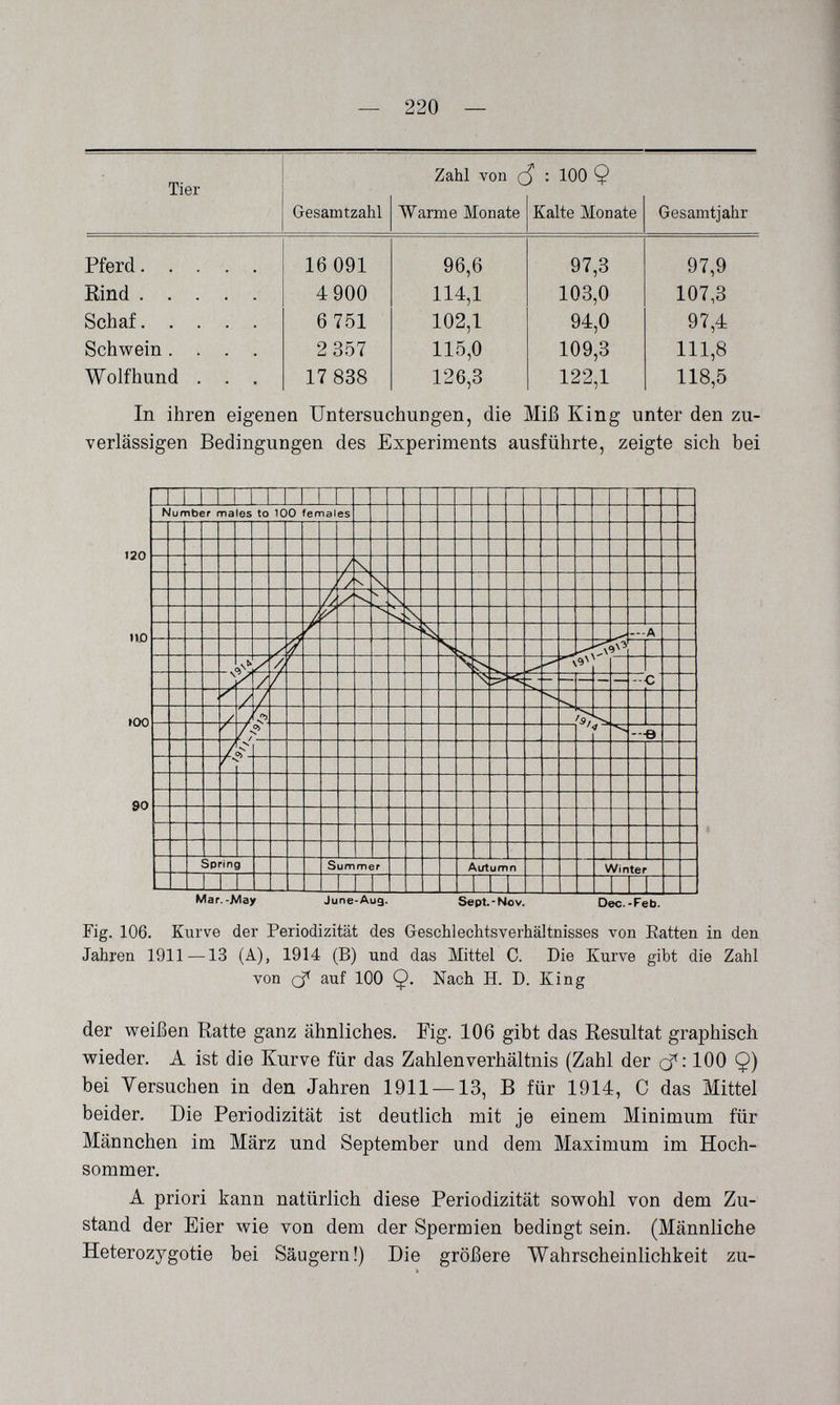 — 220 — Tier Zahl von (5 : 100 Ç In ihren eigenen Untersuchungen, die Miß King unter den zu¬ verlässigen Bedingungen des Experiments ausführte, zeigte sich bei Mar.-A/Iay June-Aug. Sept.-Niov. Dec.-Feb. Fig. 106. Kurve der Periodizität des Geschlechtsverhältnisses von Eatten in den Jahren 1911 —13 (A), 1914 (B) und das Mittel C. Die Xurve gibt die Zahl von auf 100 Ç. Nach H. D. King der weißen Ratte ganz ähnliches. Fig. 106 gibt das Resultat graphisch wieder. A ist die Kurve für das Zahlenverhältnis (Zahl der cf : 100 Ç) bei Versuchen in den Jahren 1911 —13, В für 1914, С das Mittel beider. Die Periodizität ist deutlich mit je einem Minimum für Männchen im März und September und dem Maximum im Hoch¬ sommer. А priori kann natürlich diese Periodizität sowohl von dem Zu¬ stand der Eier wie von dem der Spermien bedingt sein. (Männliche Heterozygotie bei Säugern!) Die größere Wahrscheinlichkeit zu-