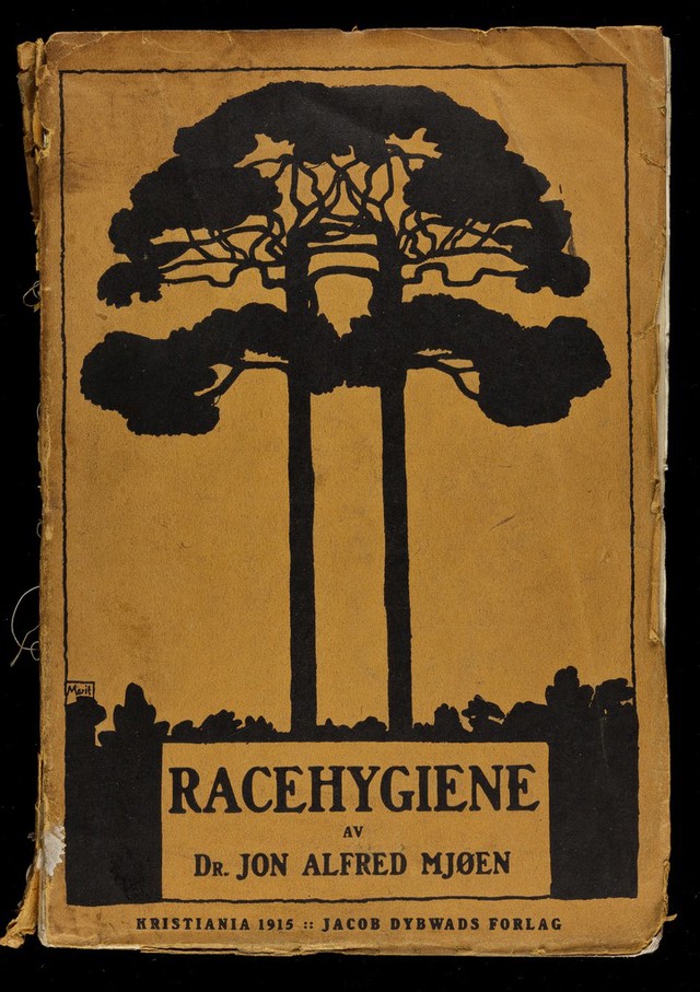 No text description is available for this image